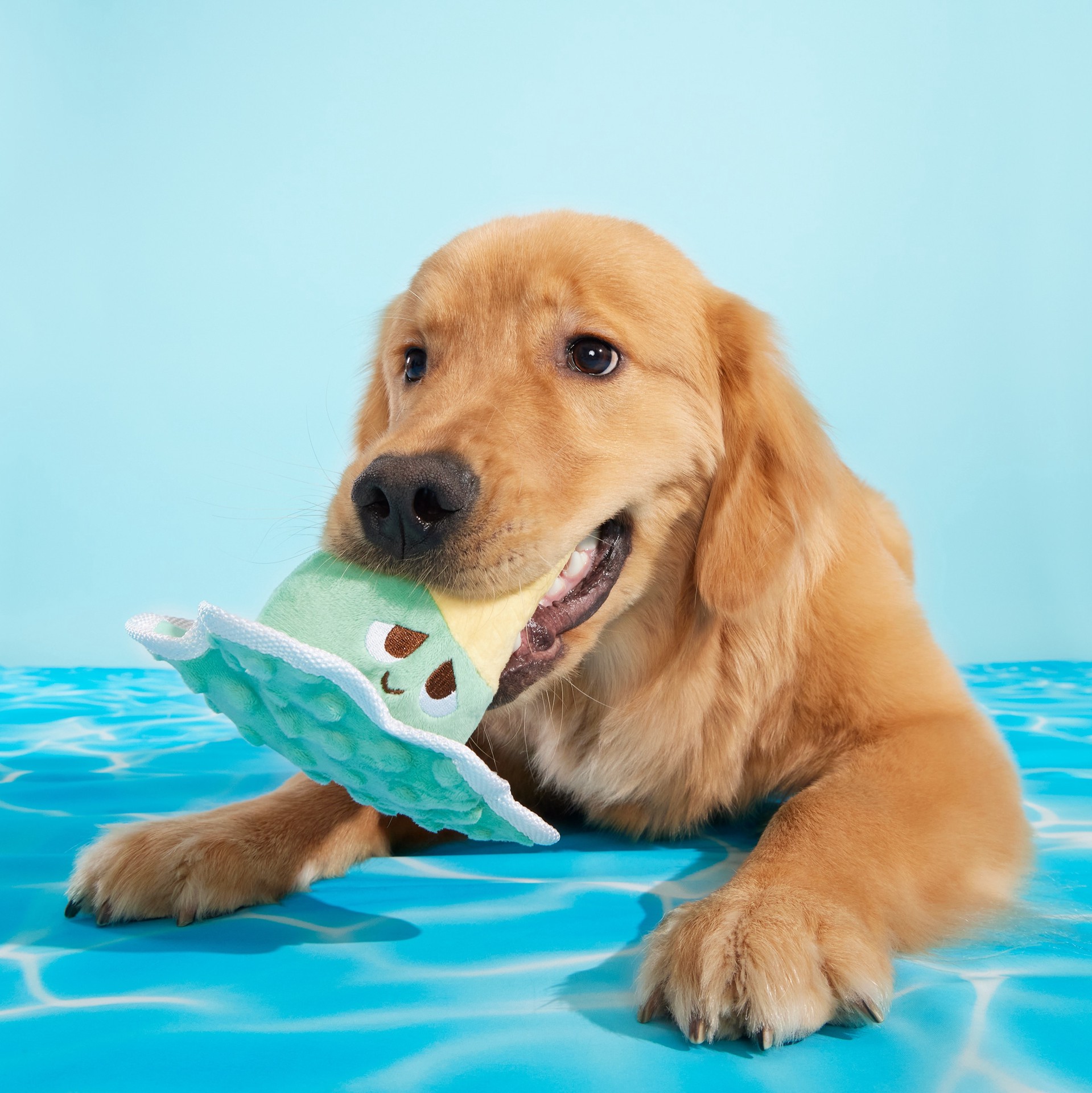 slide 5 of 5, BARK Pool Party Plush Dog Toy, 1 ct