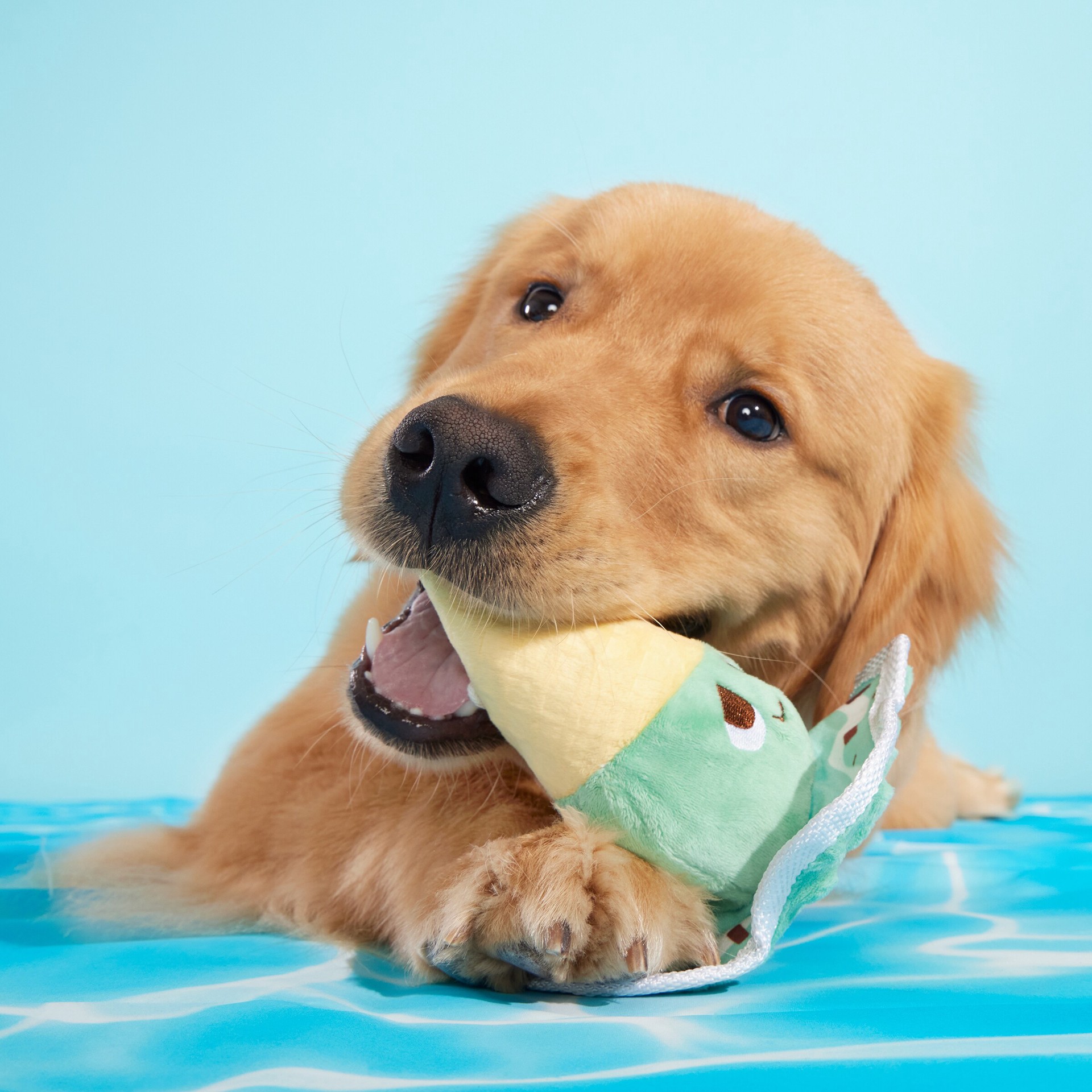 slide 3 of 5, BARK Pool Party Plush Dog Toy, 1 ct