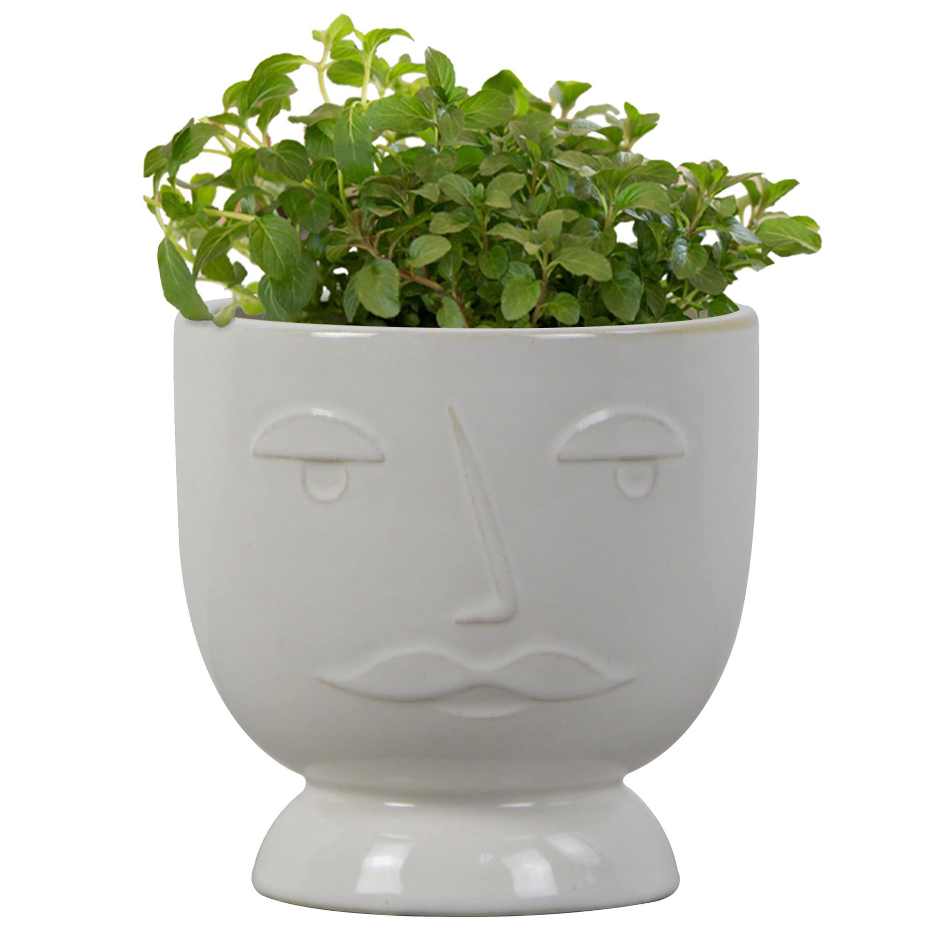 slide 2 of 6, allen + roth Round 4.41-in W x 4.41-in L White Ceramic Indoor Planter, 1 ct