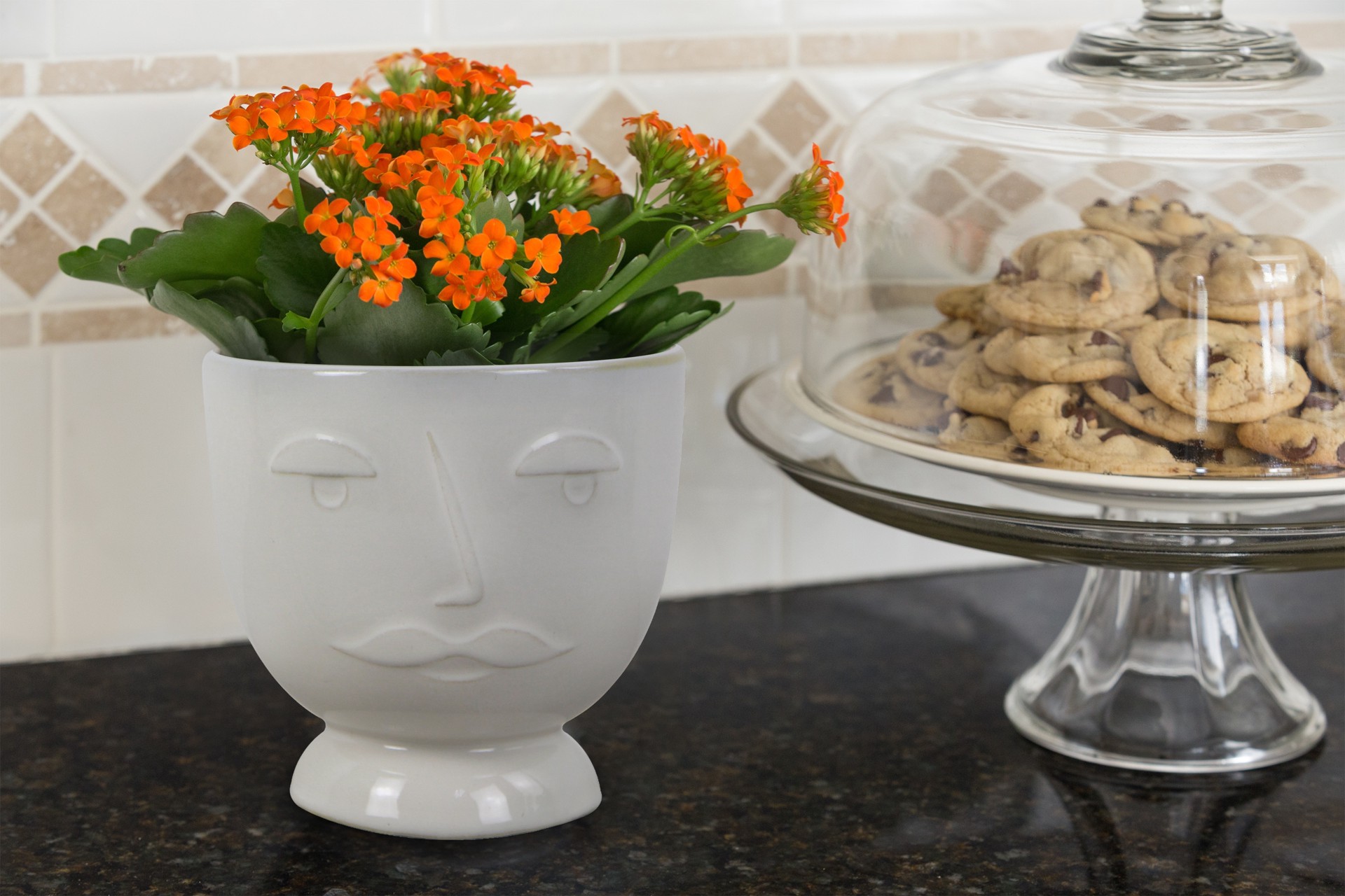 slide 5 of 6, allen + roth Round 4.41-in W x 4.41-in L White Ceramic Indoor Planter, 1 ct