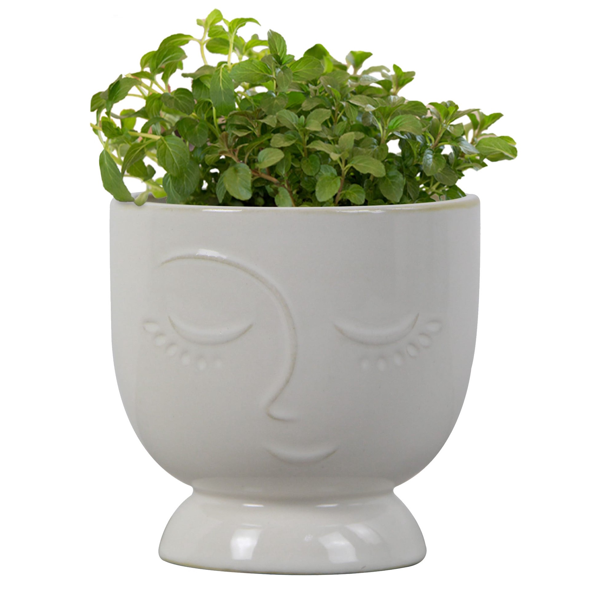 slide 2 of 6, allen + roth Round 4.41-in W x 4.41-in L White Ceramic Indoor Planter, 1 ct