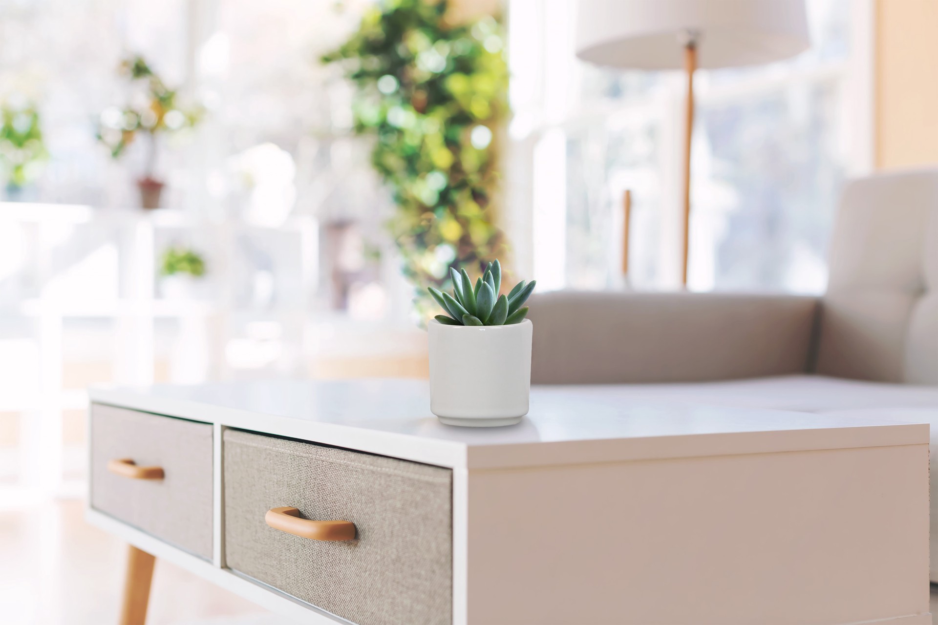 slide 5 of 6, allen + roth Round 2.99-in W x 2.99-in L White Ceramic Indoor Planter, 1 ct