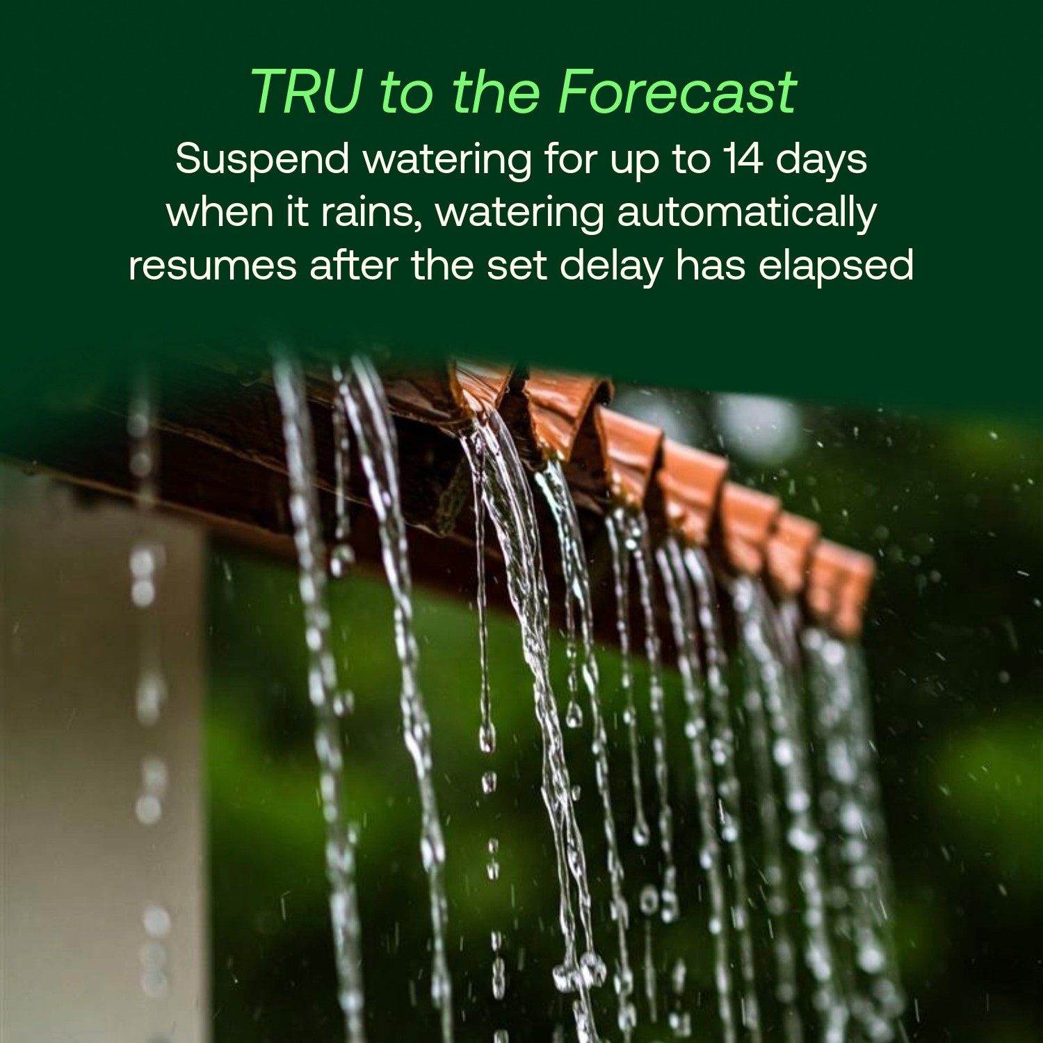 slide 6 of 6, Rain Bird 6 -Station Digital Indoor only Smart Compatible Irrigation Timer, 1 ct