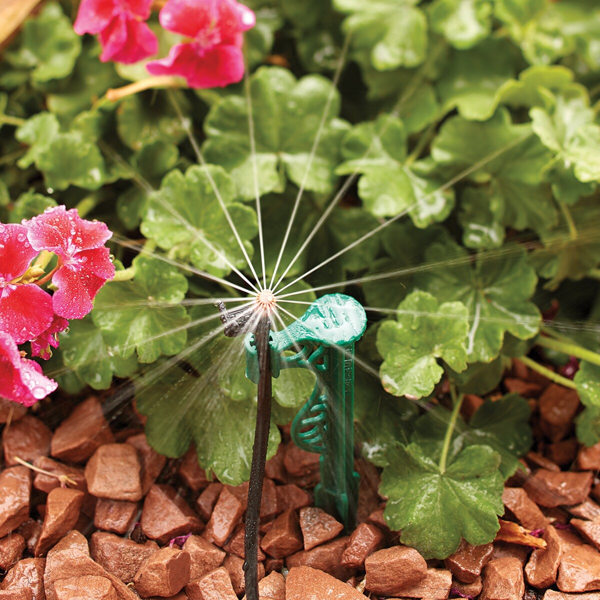 slide 4 of 4, Orbit 10 GPH Adjustable Drip Irrigation Micro Spray, 1 ct