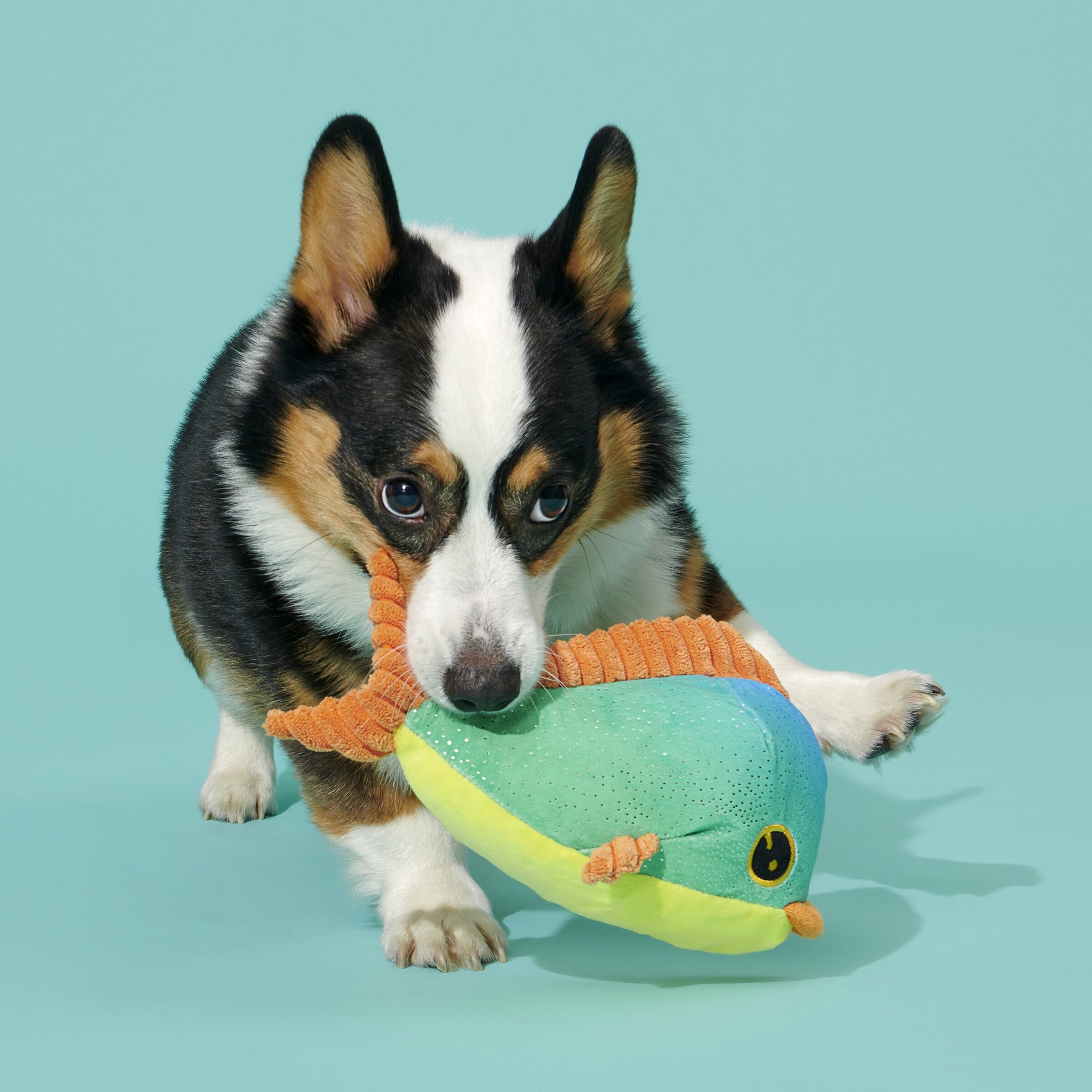 slide 2 of 5, BARK Best of BarkBox Plush Plush Dog Toy, 1 ct