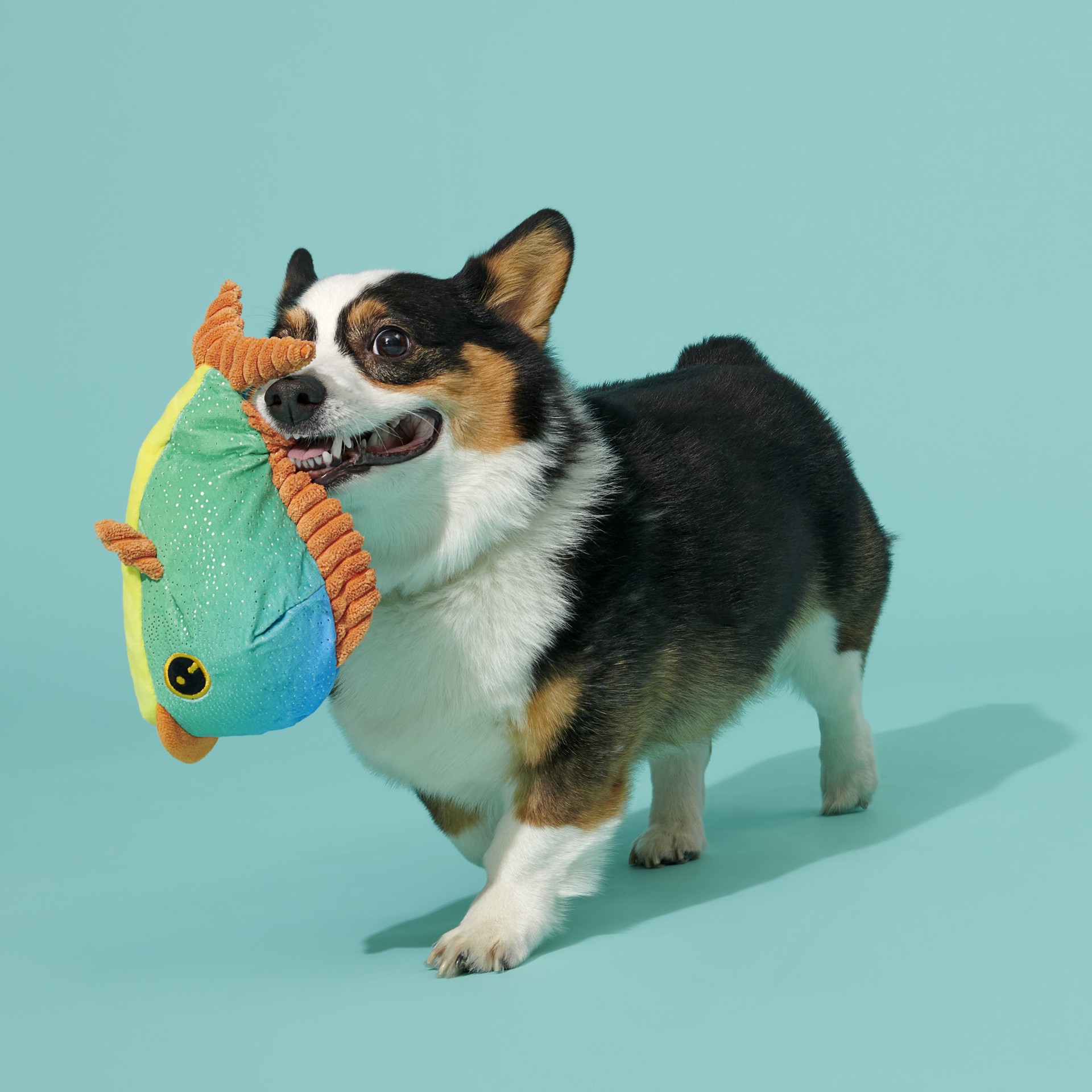 slide 4 of 5, BARK Best of BarkBox Plush Plush Dog Toy, 1 ct
