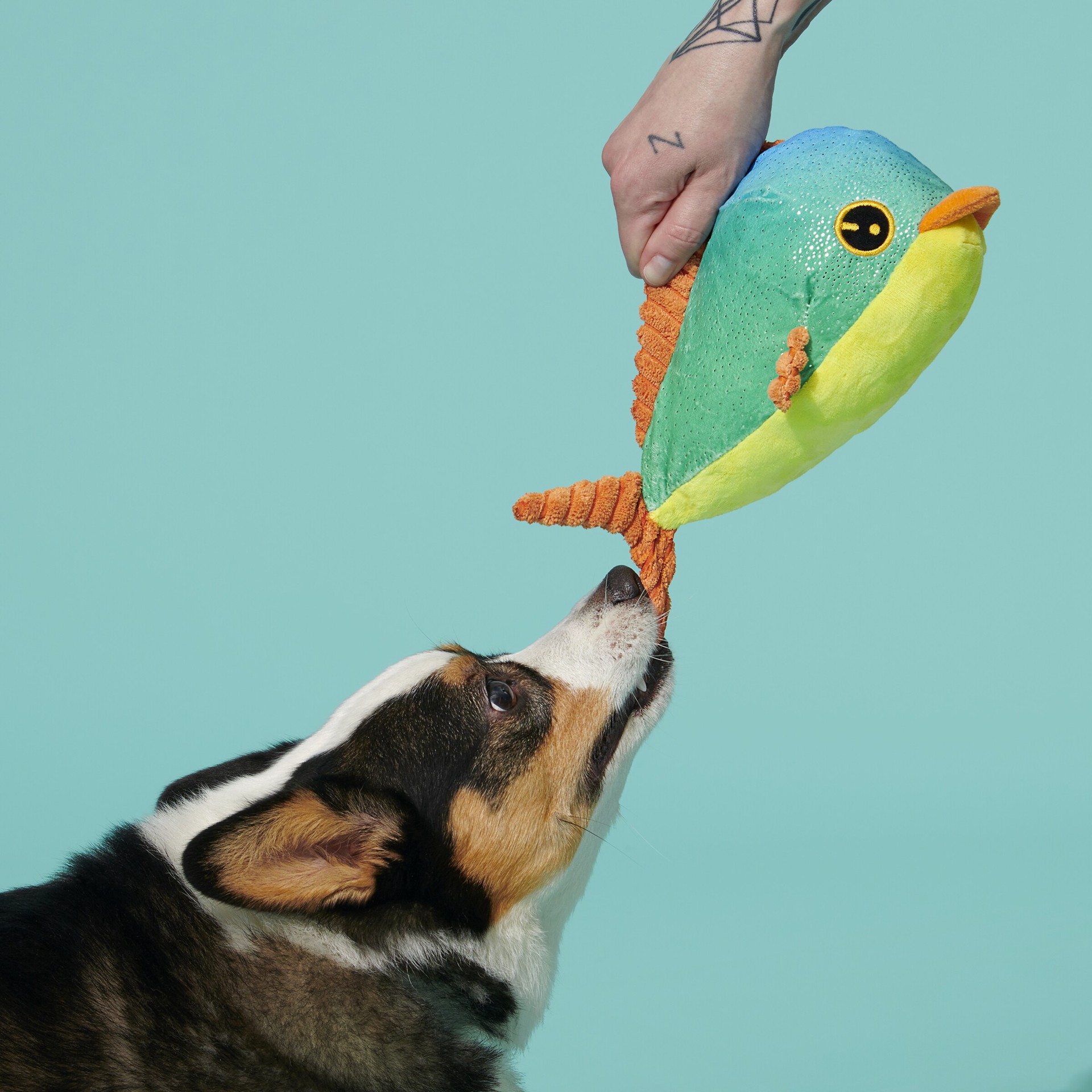 slide 5 of 5, BARK Best of BarkBox Plush Plush Dog Toy, 1 ct