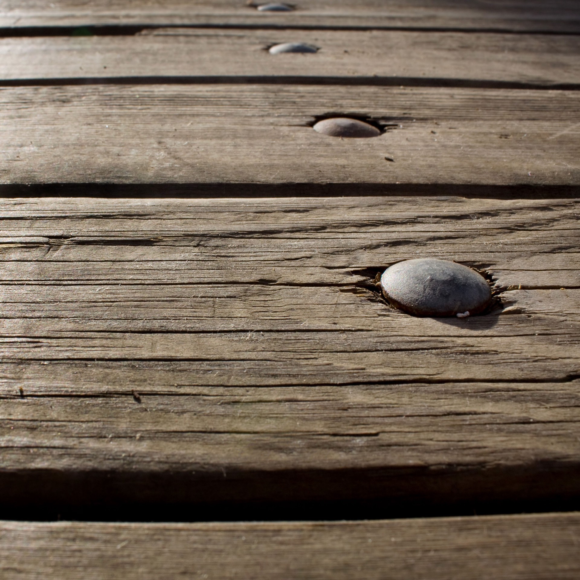 slide 5 of 6, Deck Plus 1/4-in x 2-in Coated Coarse Thread Exterior Carriage Bolt, 1 ct