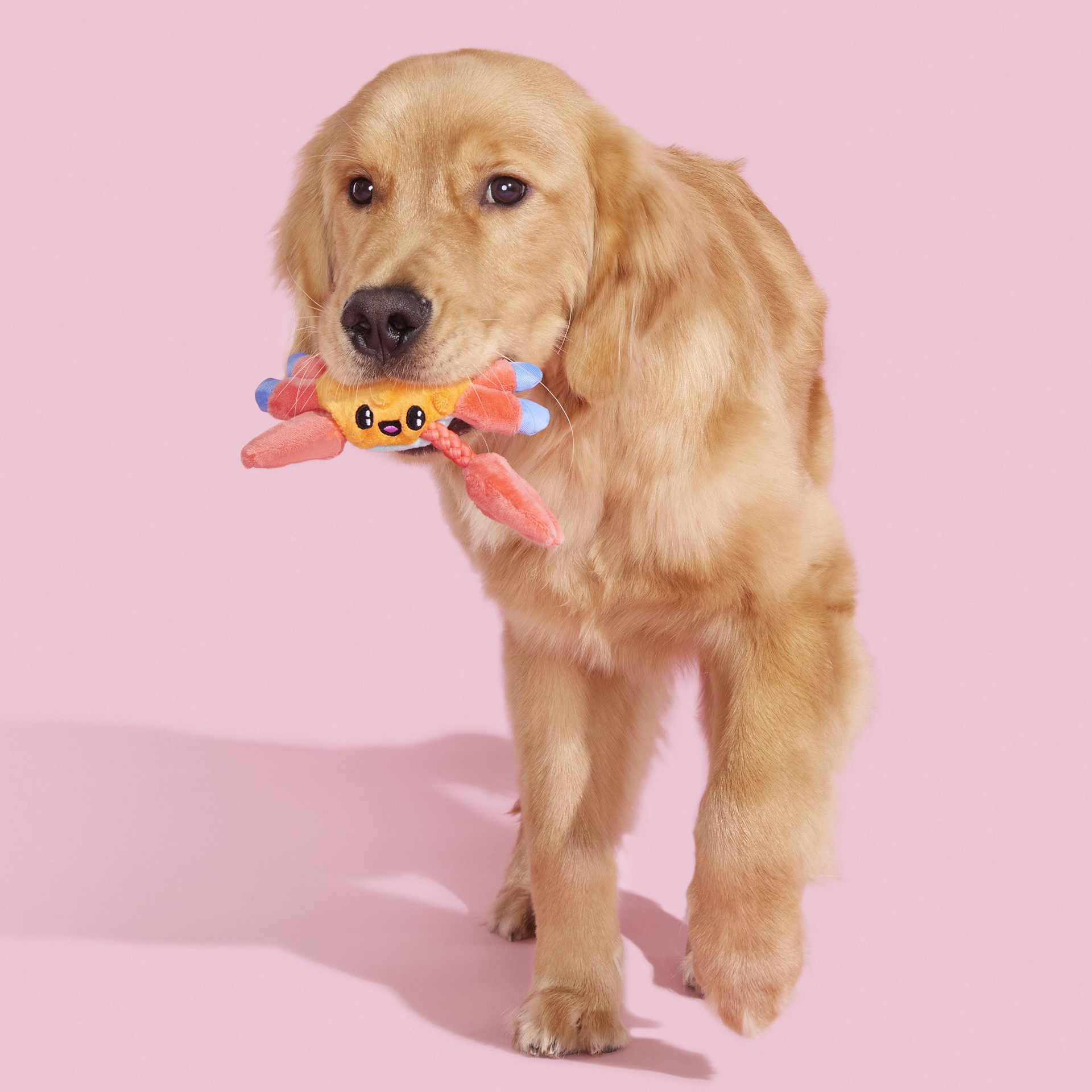 slide 2 of 6, BARK Best of BarkBox Polyester Plush Dog Toy, 1 ct