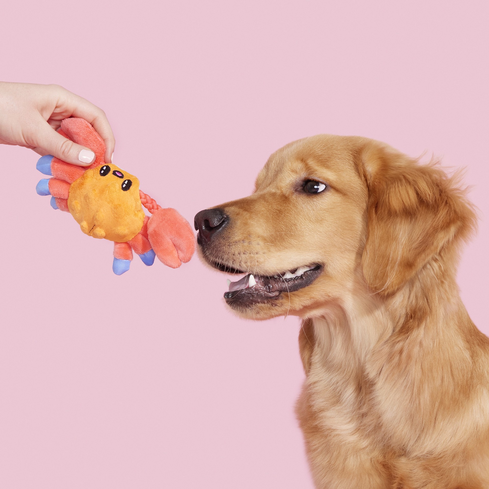 slide 3 of 6, BARK Best of BarkBox Polyester Plush Dog Toy, 1 ct
