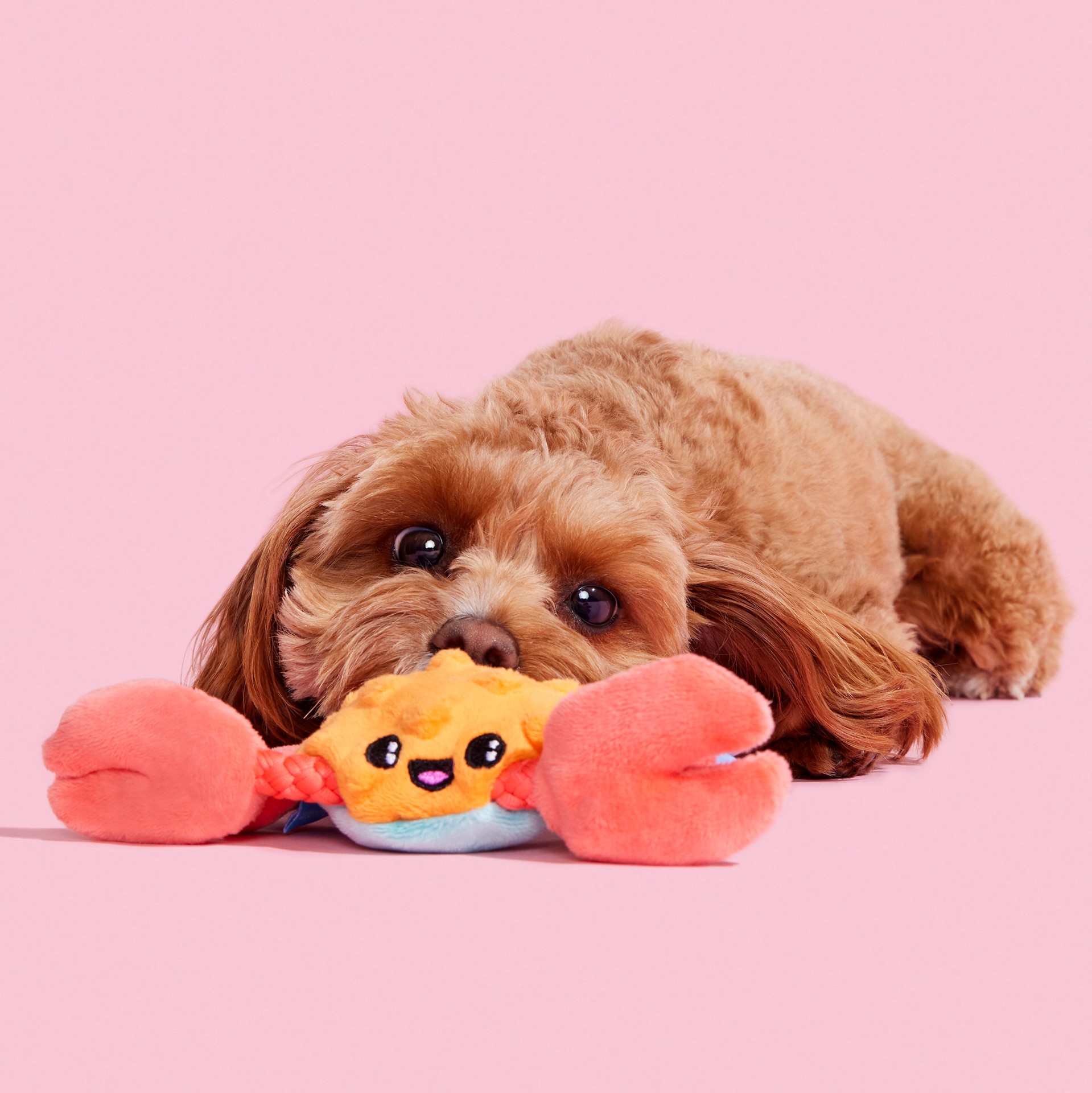 slide 4 of 6, BARK Best of BarkBox Polyester Plush Dog Toy, 1 ct