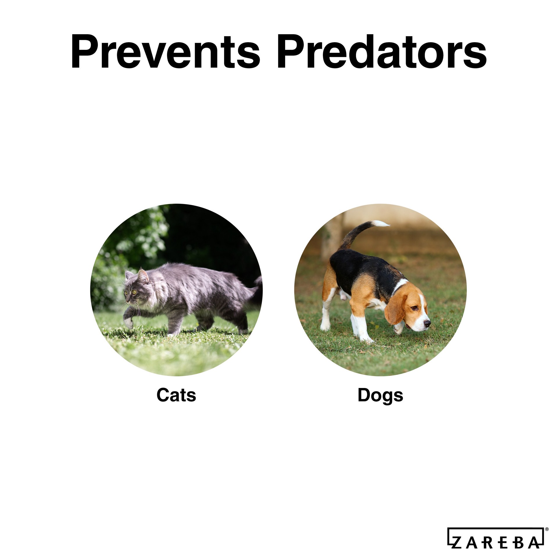 slide 4 of 4, Zareba Systems Electric fence Netting kit, 1 ct