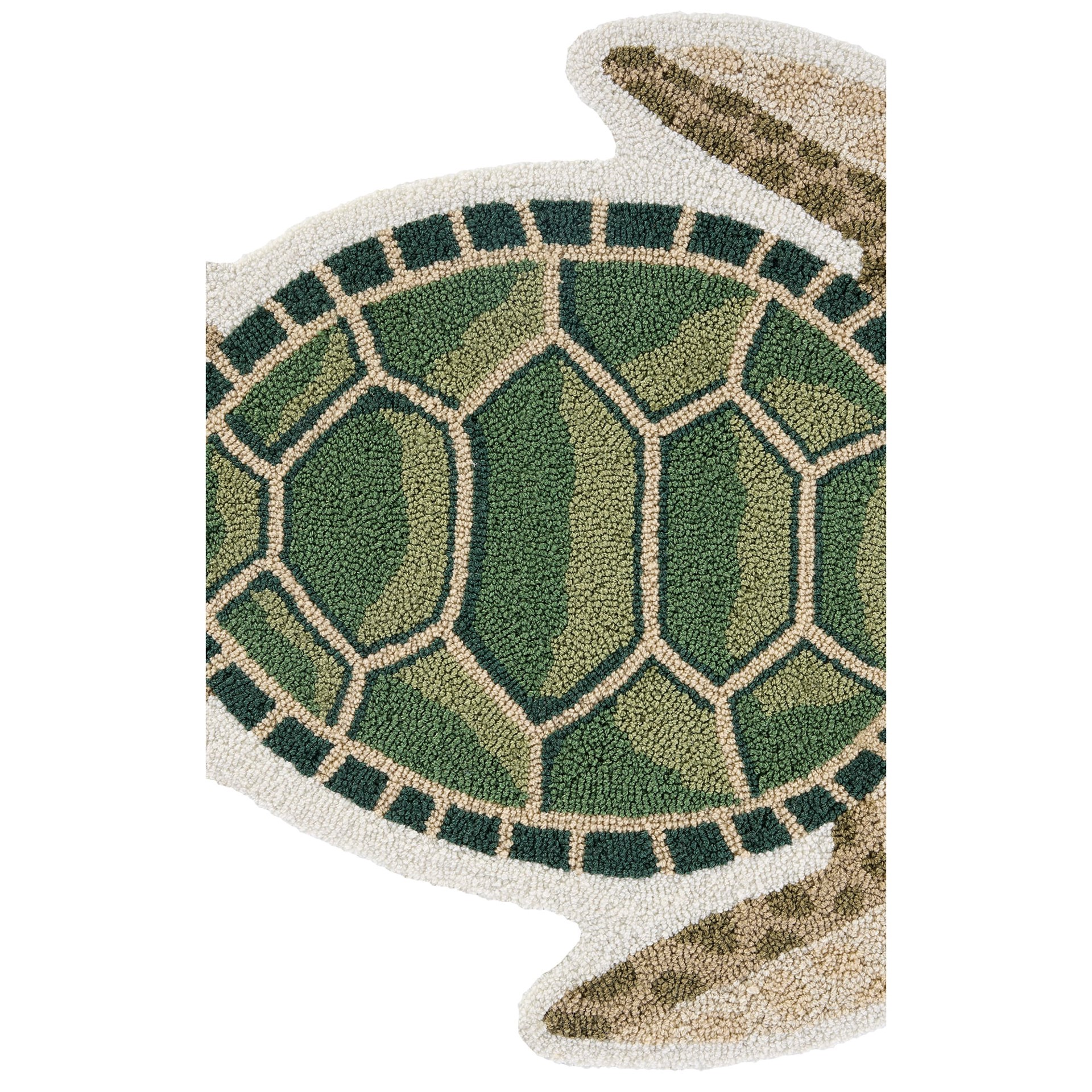 slide 3 of 6, allen + roth 2 x 3 (ft) Hooked Green/Multi Irregular Indoor/Outdoor Coastal Throw rug, 1 ct
