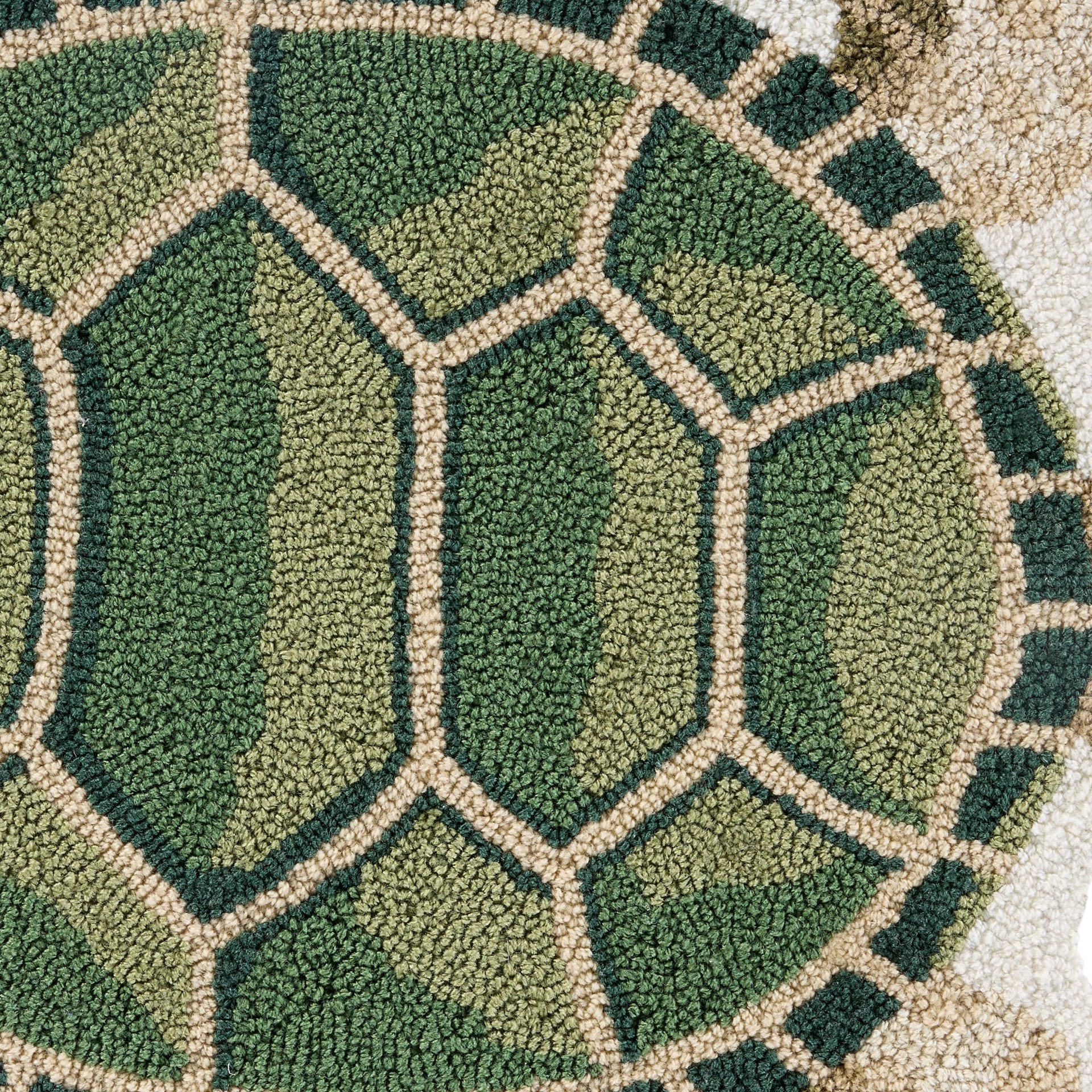 slide 5 of 6, allen + roth 2 x 3 (ft) Hooked Green/Multi Irregular Indoor/Outdoor Coastal Throw rug, 1 ct