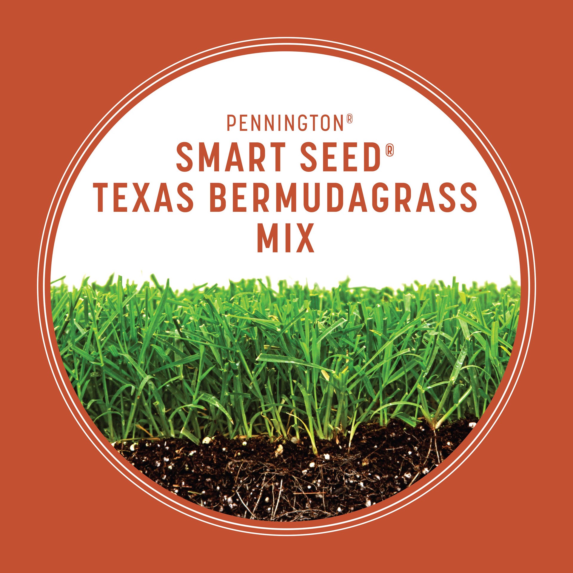 slide 8 of 10, Pennington Smart Seed Texas Bermudagrass Mix 1.75 lb, 1 ct