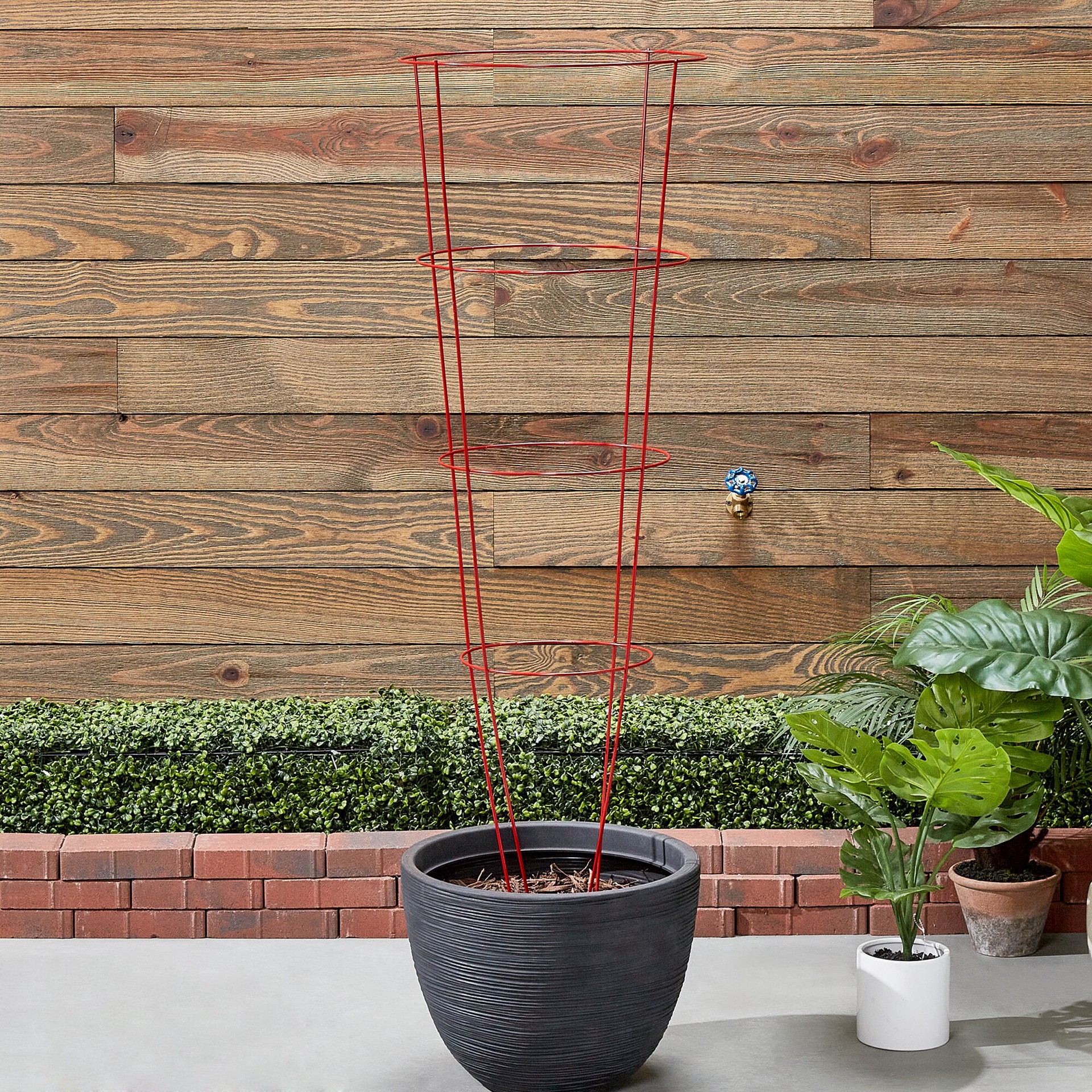 slide 2 of 3, 54-in Powder-coated galvanized steel wire Round Tomato Cage, 1 ct