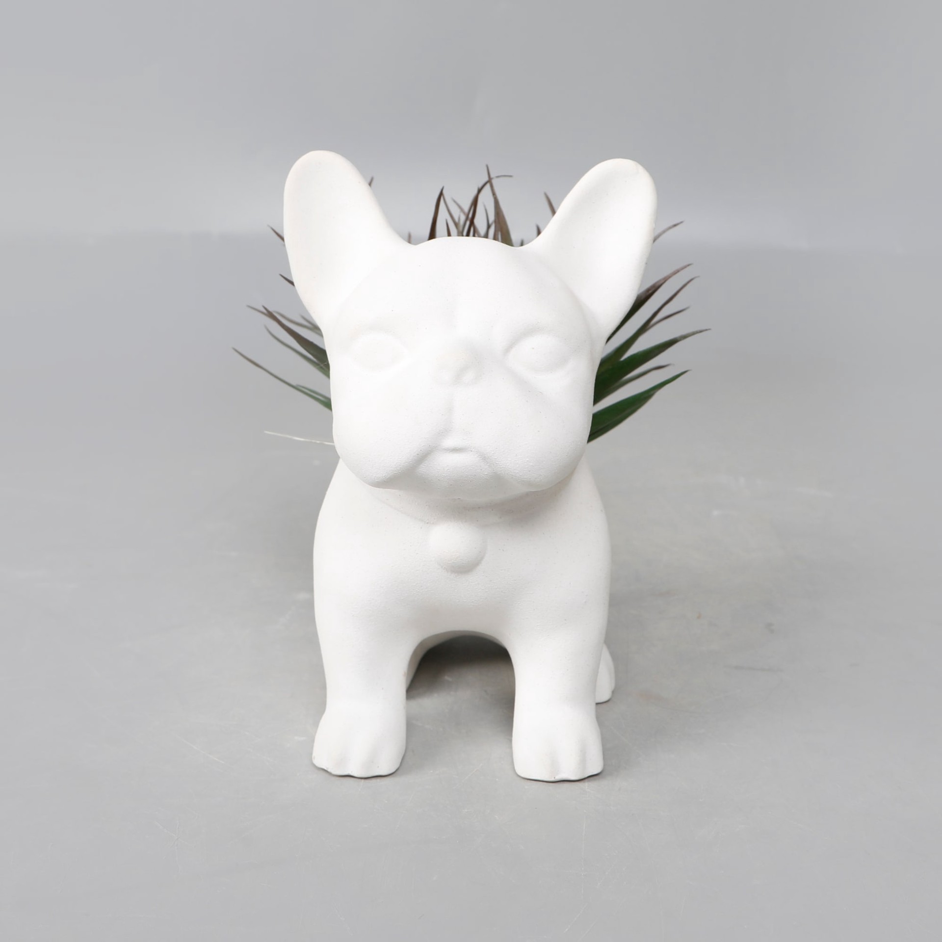 slide 5 of 5, Origin 21 8-in Matte Indoor/Outdoor Desktop Agave Artificial plant, 1 ct