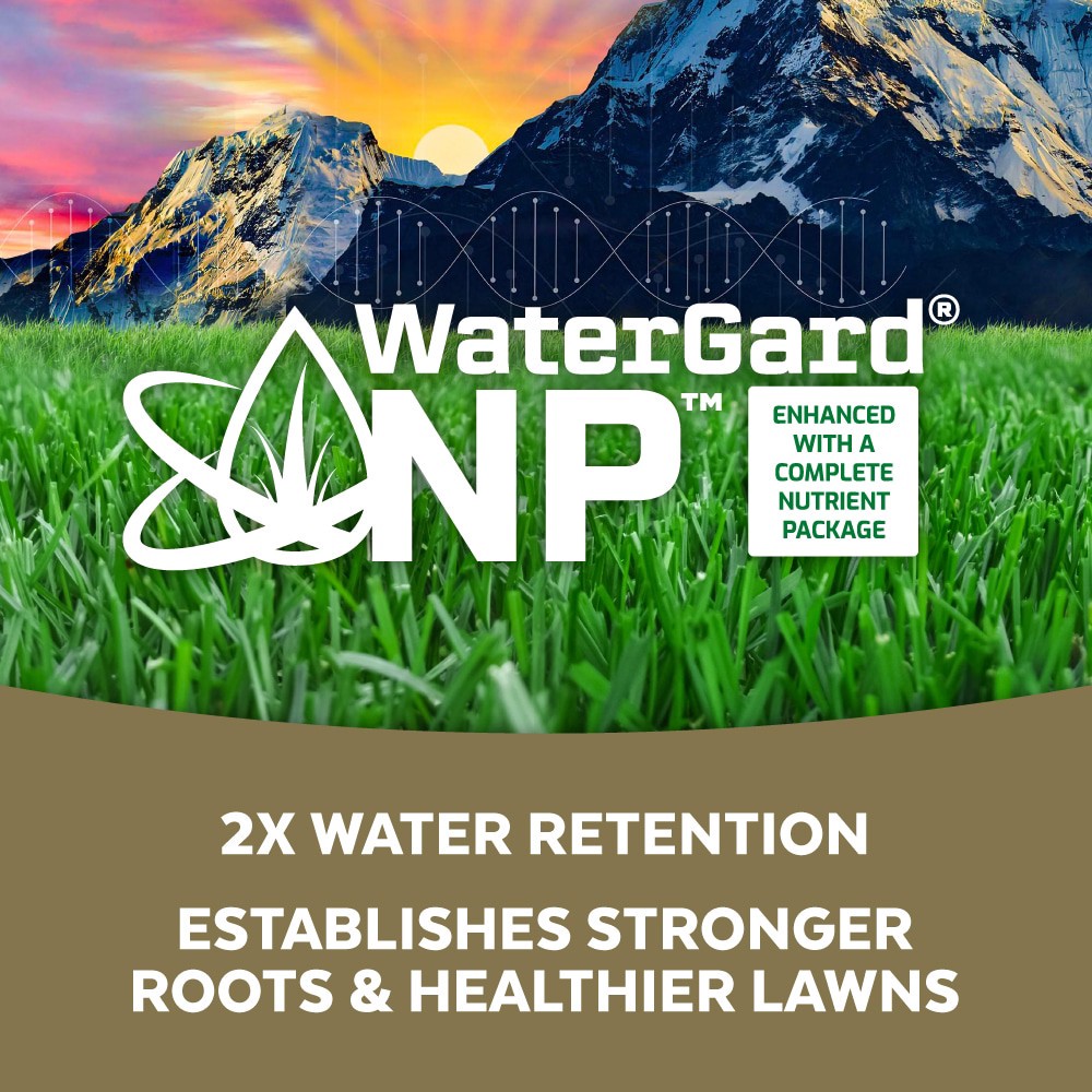 slide 3 of 5, Mountain View Seeds Midwest 20-lb Natural Mixture/Blend Grass Seed, 1 ct