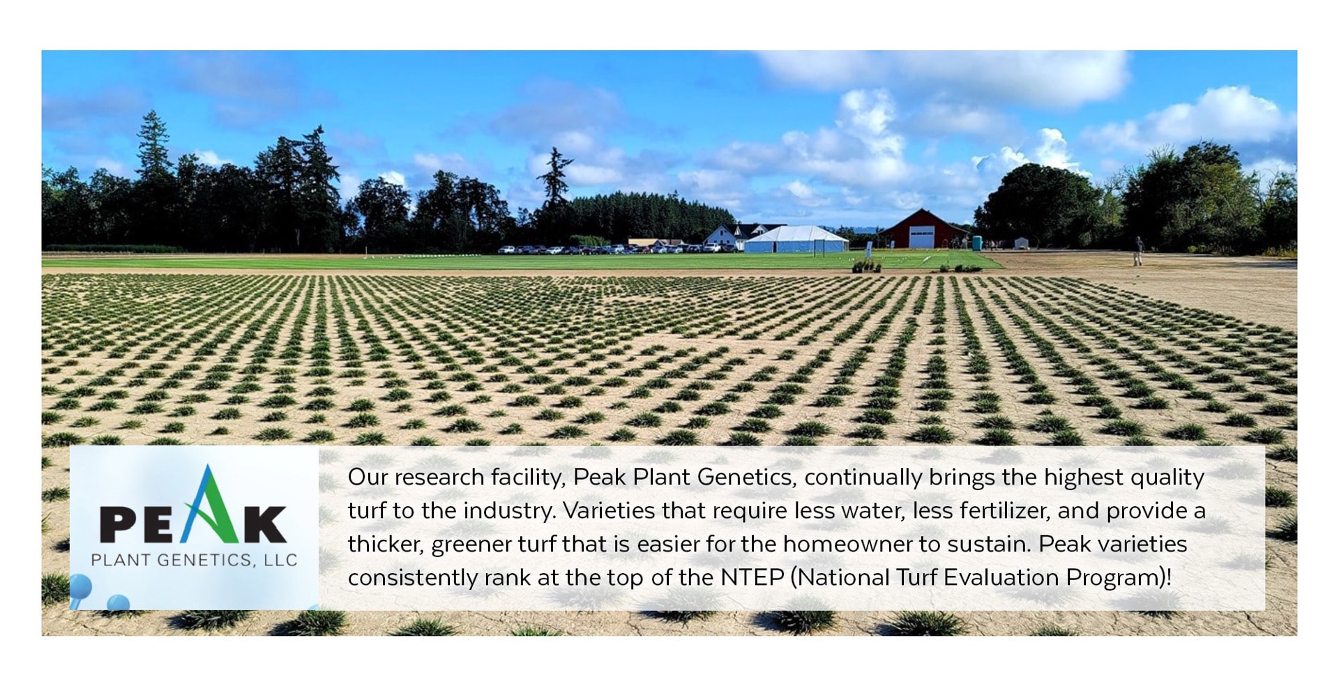 slide 5 of 5, Mountain View Seeds Midwest 20-lb Natural Mixture/Blend Grass Seed, 1 ct