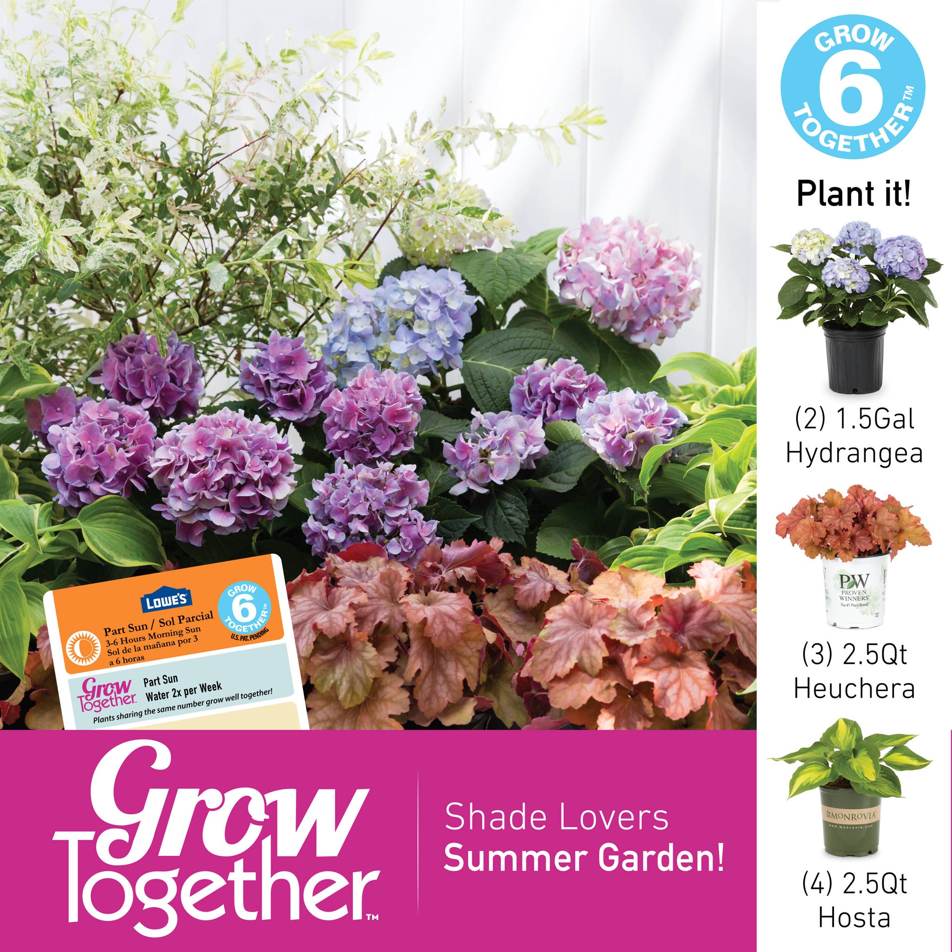 slide 5 of 5, Lowe's Hydrangea Accent Shrub in 1.5 -Gallon Pot with Multicolor Blooms, 1 ct