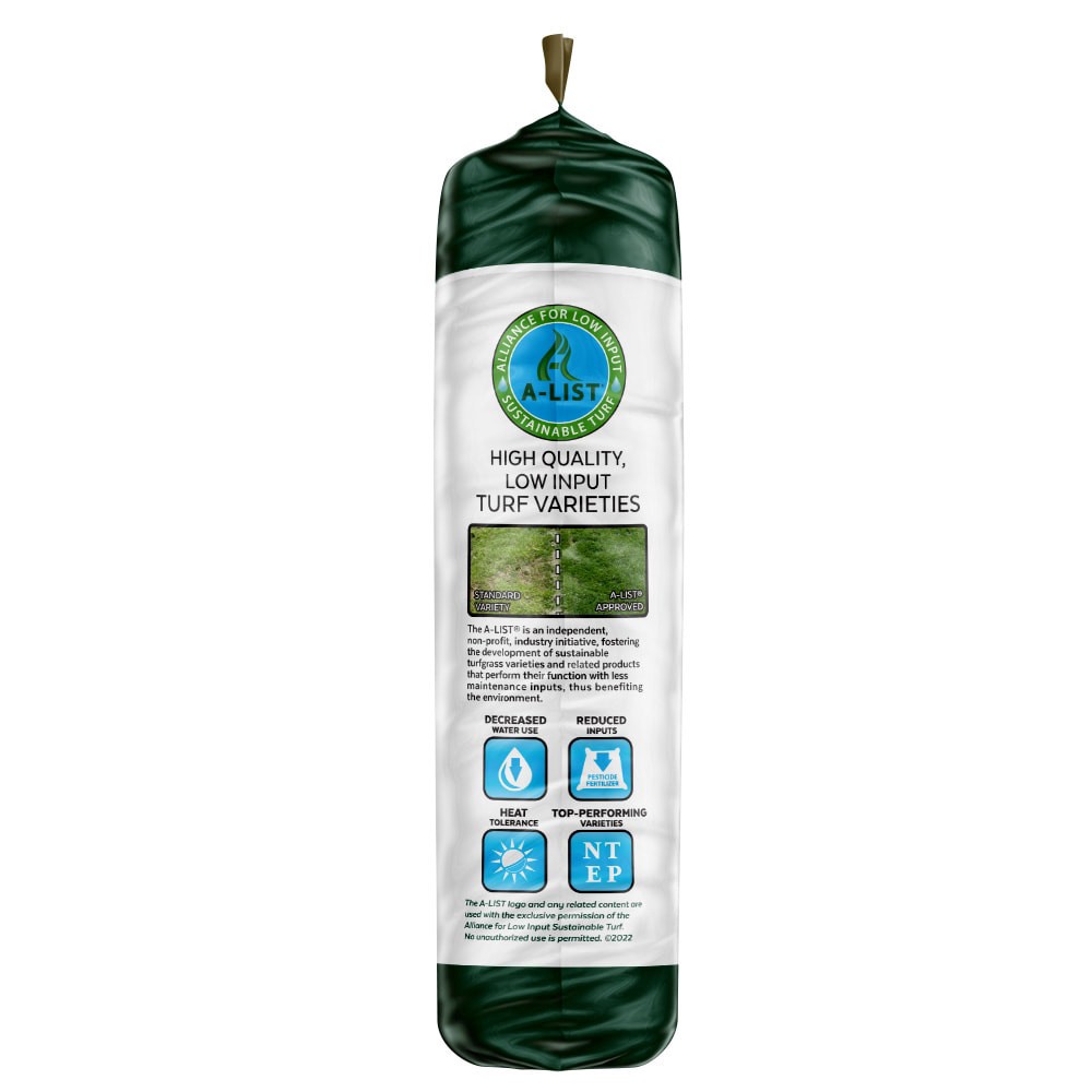 slide 4 of 5, Mountain View Seeds Midwest 3-lb Natural Kentucky Bluegrass Grass Seed, 1 ct