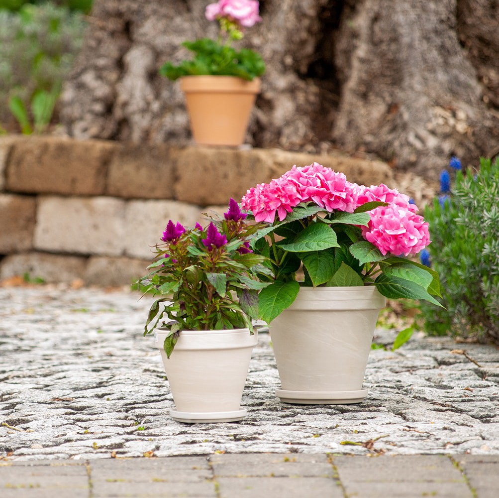 slide 5 of 6, 7.05-in W x 7.05 L White Terracotta Indoor/Outdoor Planter, 1 ct