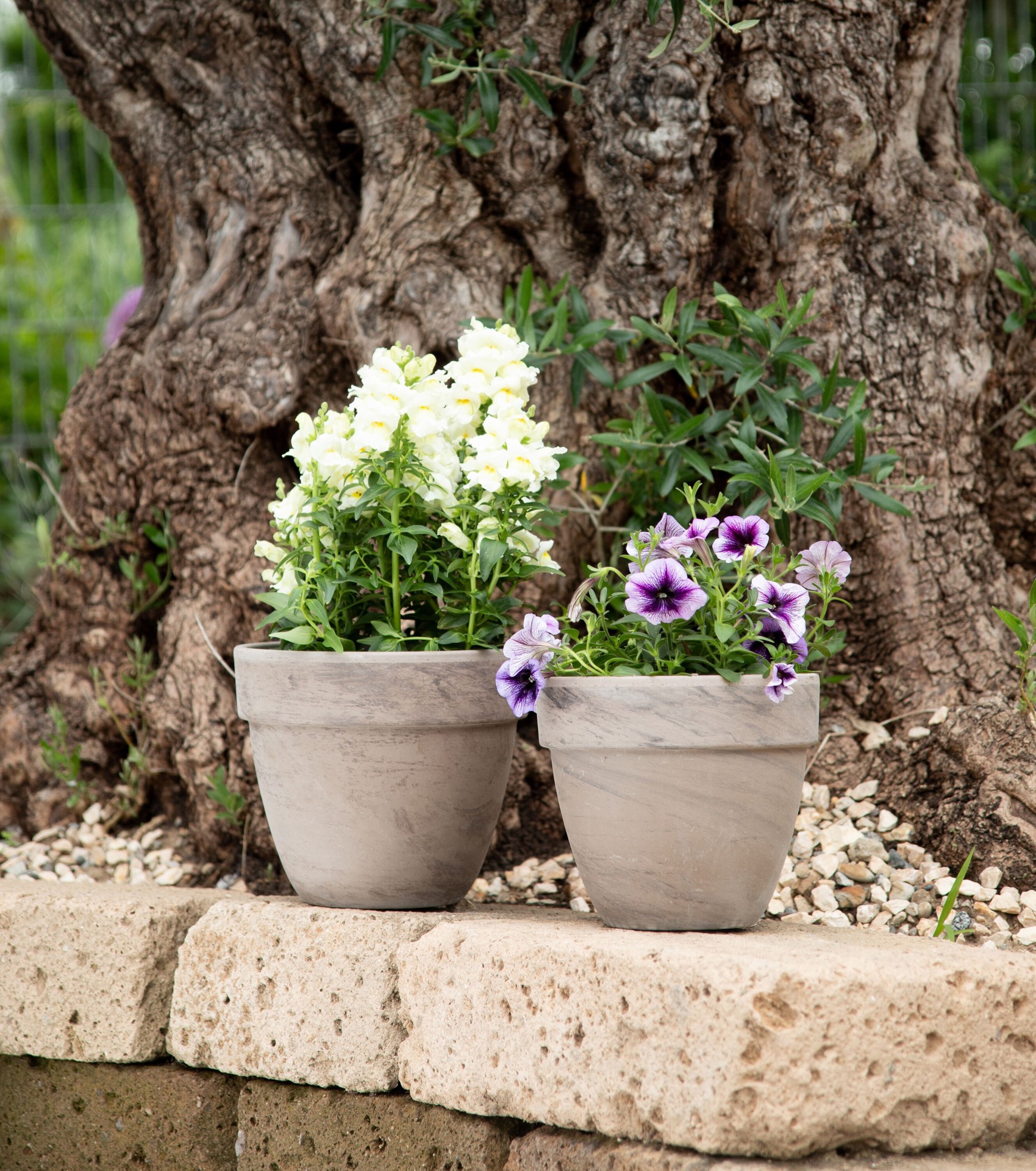 slide 3 of 6, Round 8.75-in W x 10.25-in L Brown Terracotta Indoor/Outdoor Planter, 1 ct