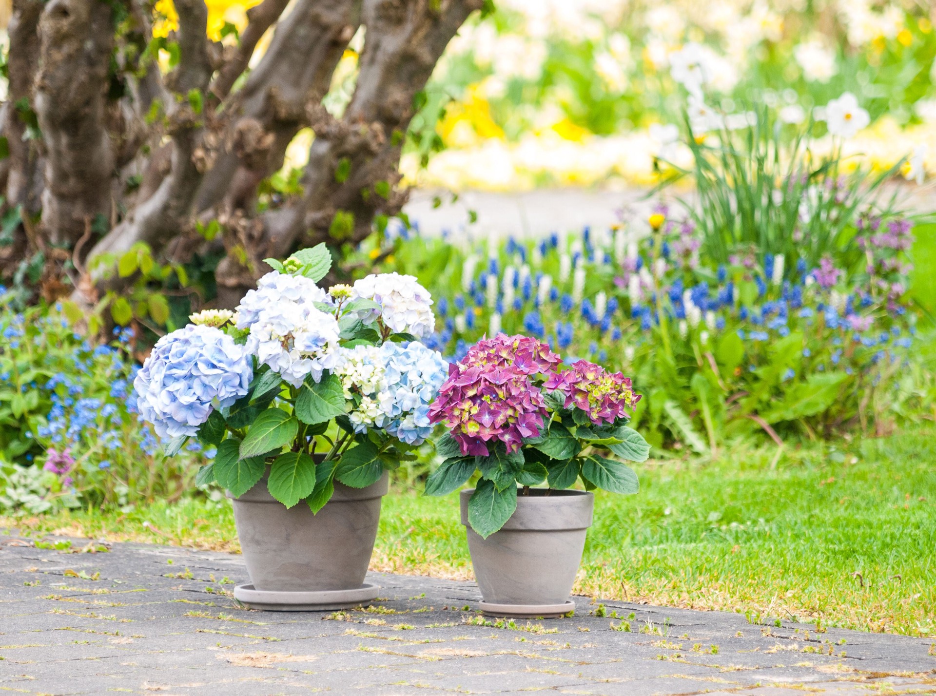 slide 4 of 6, Round 8.75-in W x 10.25-in L Brown Terracotta Indoor/Outdoor Planter, 1 ct