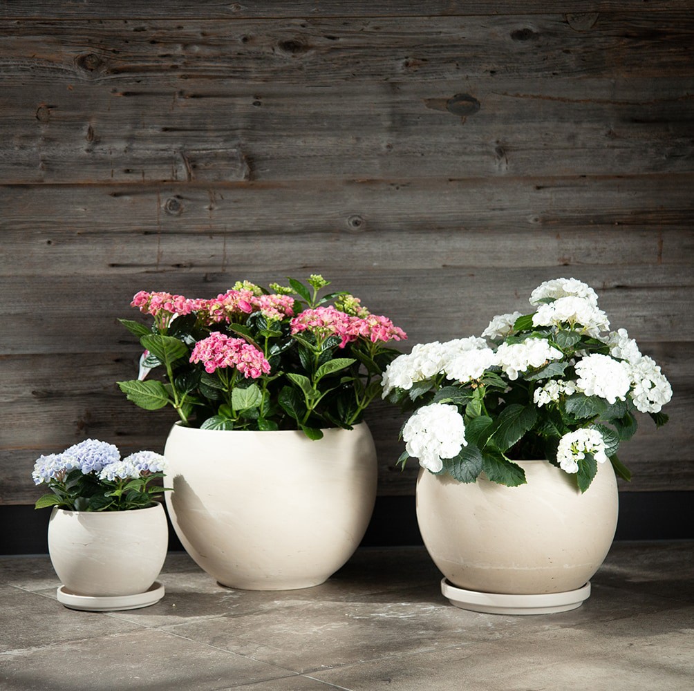 slide 2 of 4, Round 7.75-in W x 10.75-in L White Terracotta Indoor/Outdoor Planter, 1 ct