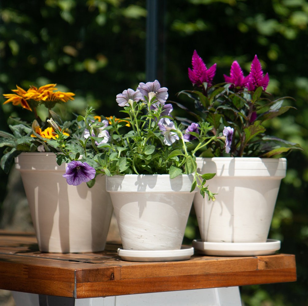 slide 4 of 6, 5.5-in W x 5.5 L White Terracotta Indoor/Outdoor Planter, 1 ct