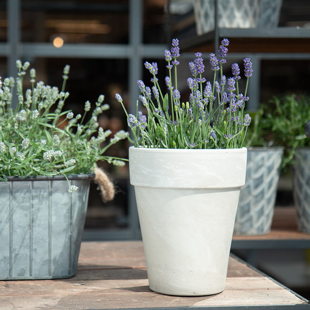 slide 3 of 6, 12.6-in W x 15.0433-in H x 12.5472-in D White Terracotta Indoor/Outdoor Planter, 1 ct