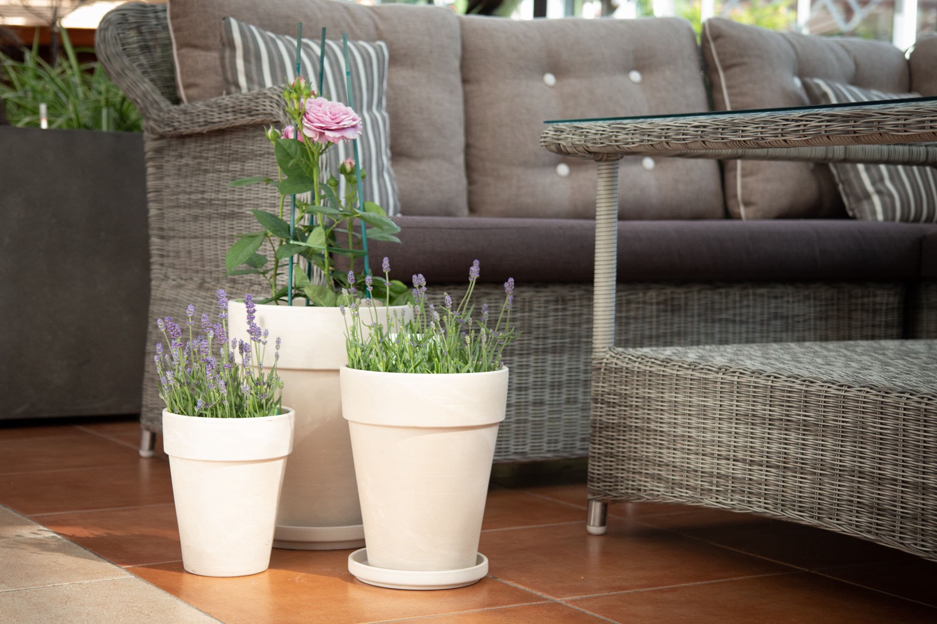 slide 6 of 6, 12.6-in W x 15.0433-in H x 12.5472-in D White Terracotta Indoor/Outdoor Planter, 1 ct