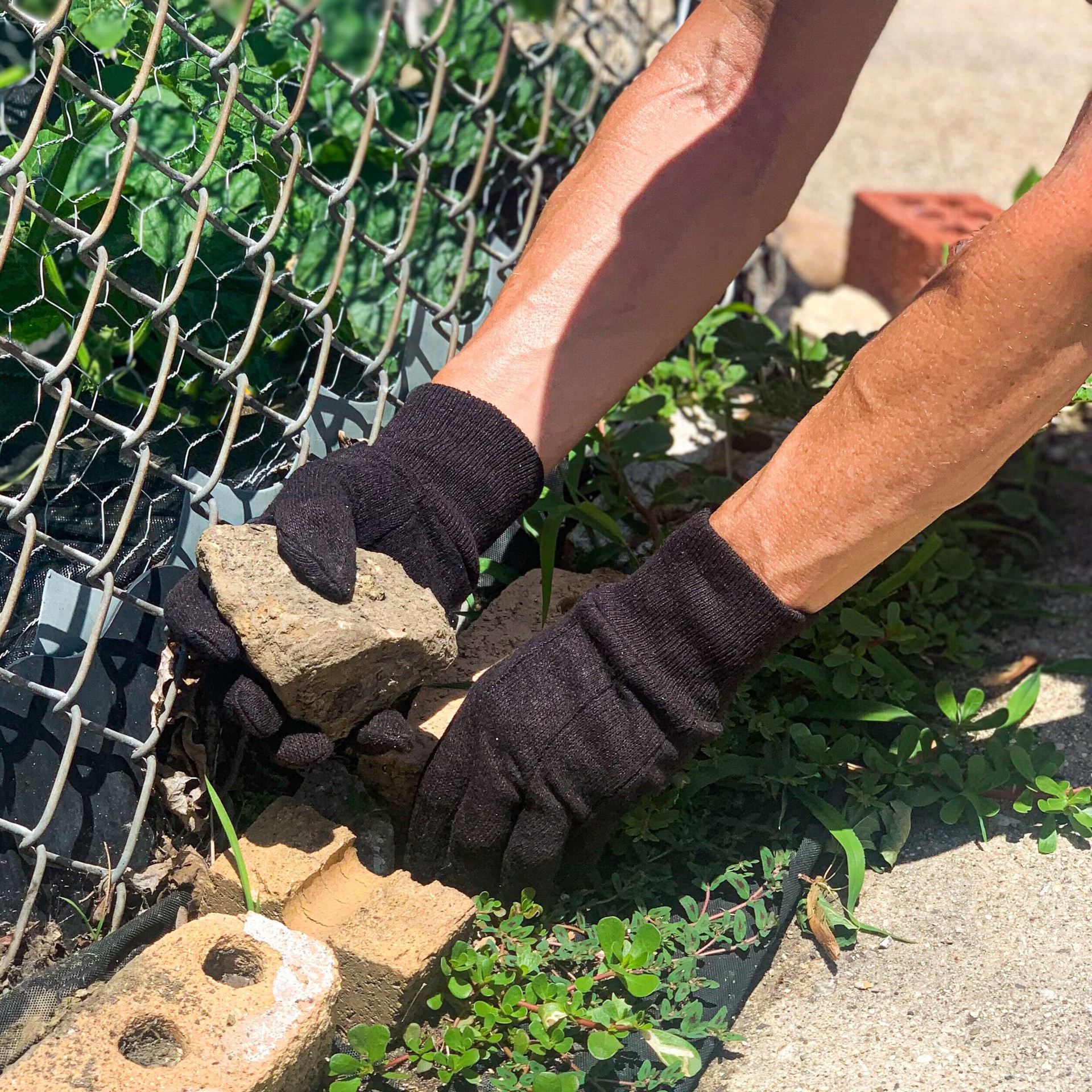slide 4 of 5, Wells Lamont Large Black Poly/Cotton Everyday Gloves 12 -Pairs, 1 ct