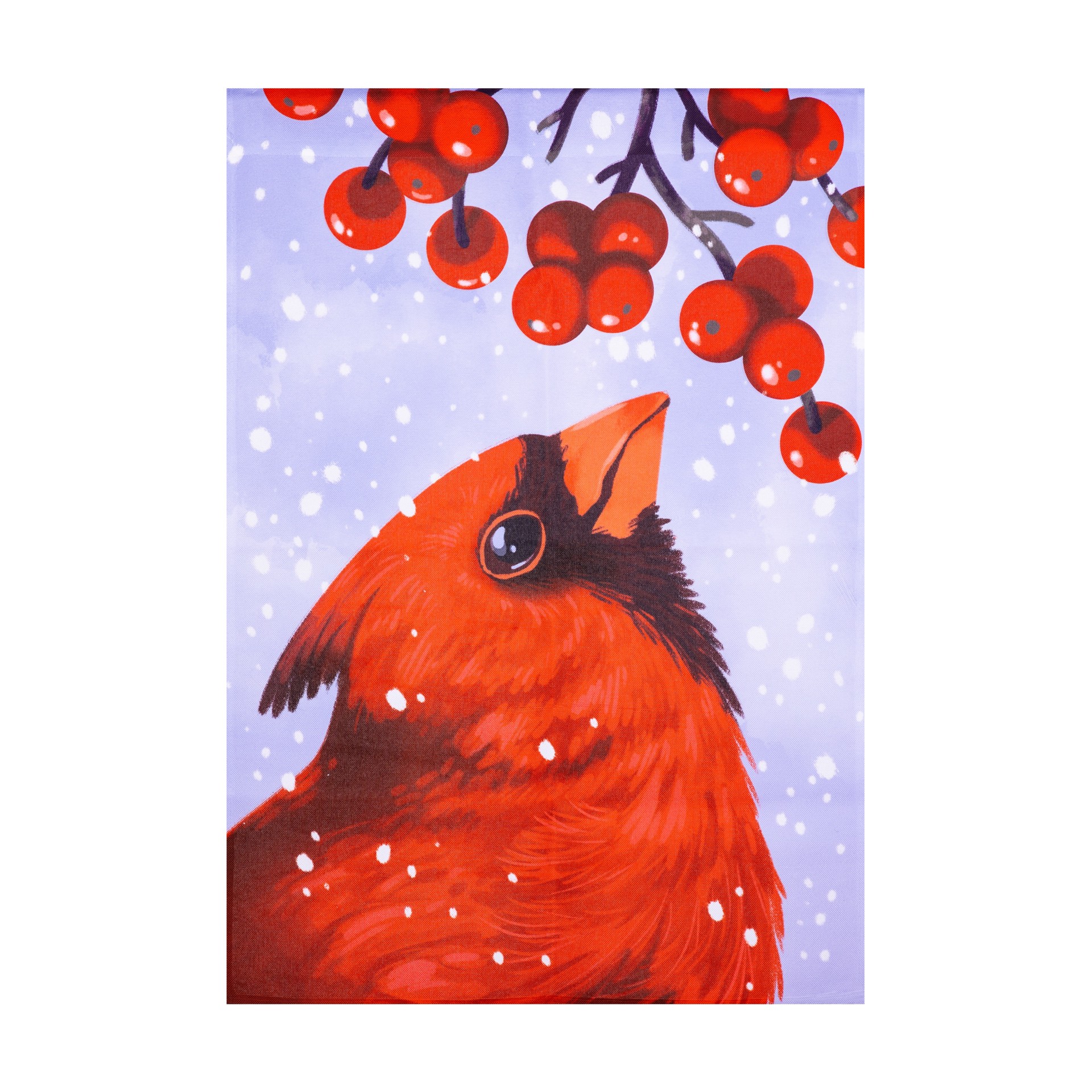 slide 1 of 6, Style Selections 2-ft W x 4-ft H Winter House flag, 1 ct