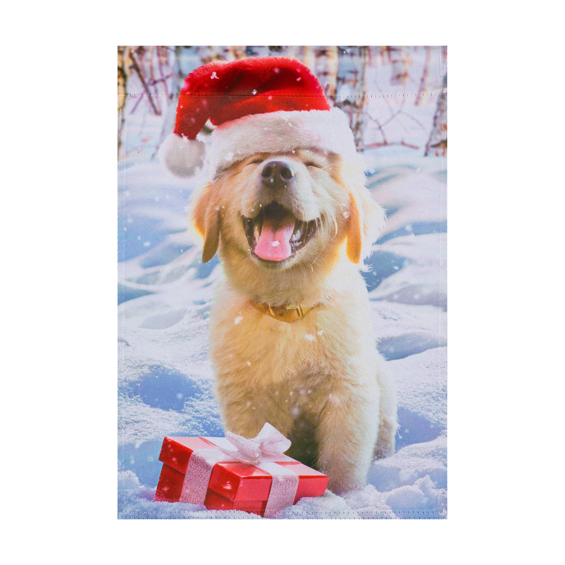 slide 1 of 6, Style Selections 1-ft W x 1.5-ft H Christmas Garden flag Kit, 1 ct