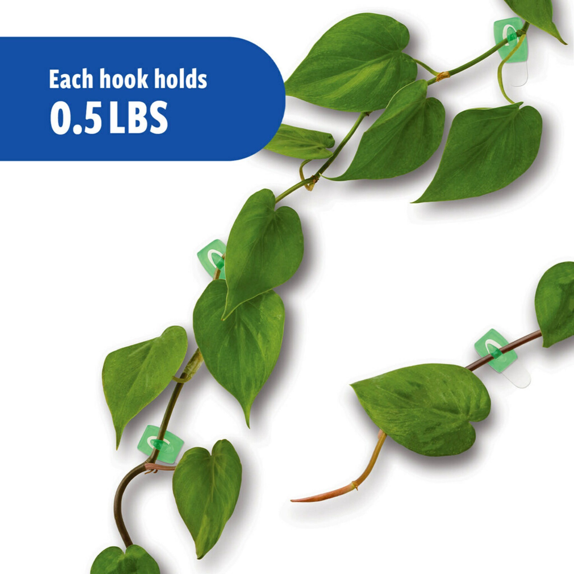 slide 4 of 6, Command Limited Edition Color Collection Aloe Adhesive Storage/Utility hook (, 1 ct