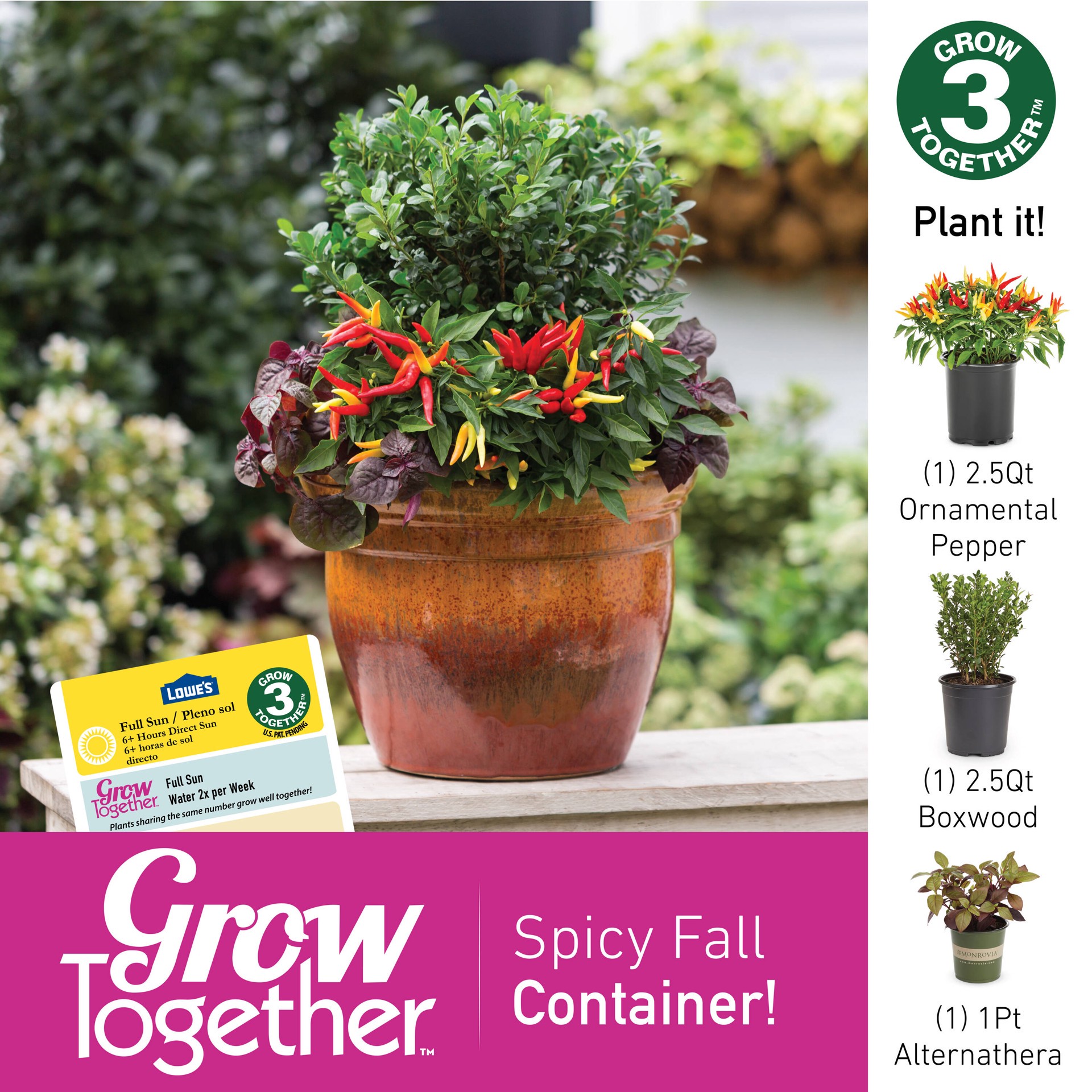slide 4 of 4, Lowe's Multicolor Ornamental Pepper in 2.5 Quart(s) Pot 1 -Pack, 1 ct