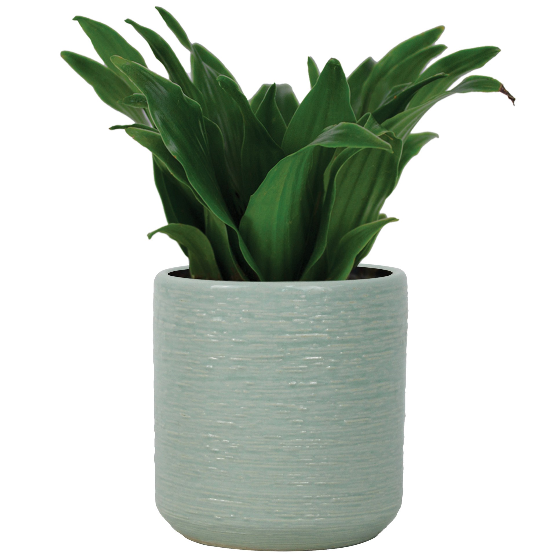 slide 2 of 6, allen + roth Round 4.1-in W x 4.1-in L Green Ceramic Indoor Planter, 1 ct