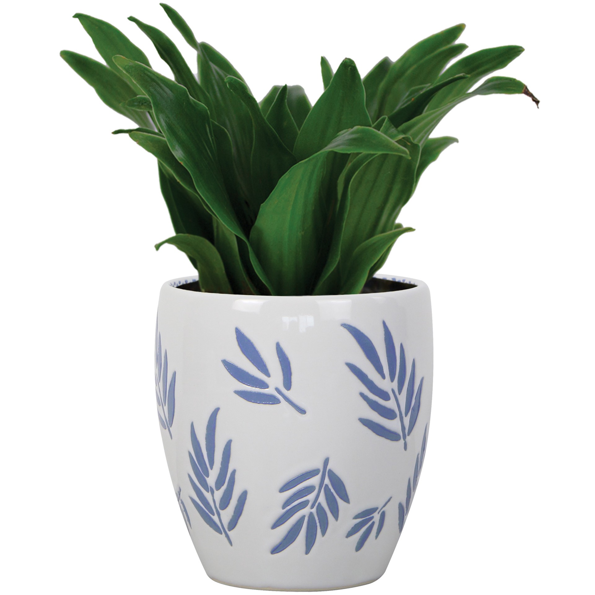 slide 2 of 5, allen + roth 4.8-in W x 4.8-in L Multiple colors/finishes Ceramic Indoor Planter, 1 ct
