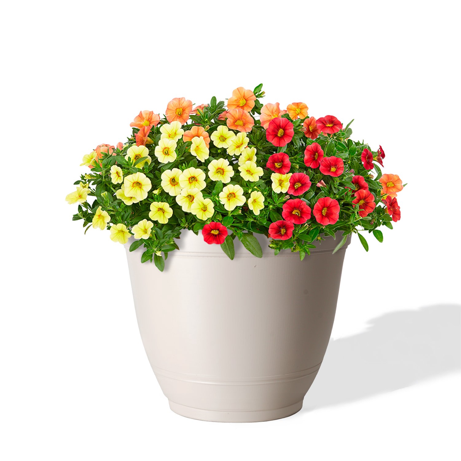 slide 2 of 6, Style Selections Round 6.02-in W x 6.02-in L Off-white Recycled plastic Indoor/Outdoor Planter, 1 ct