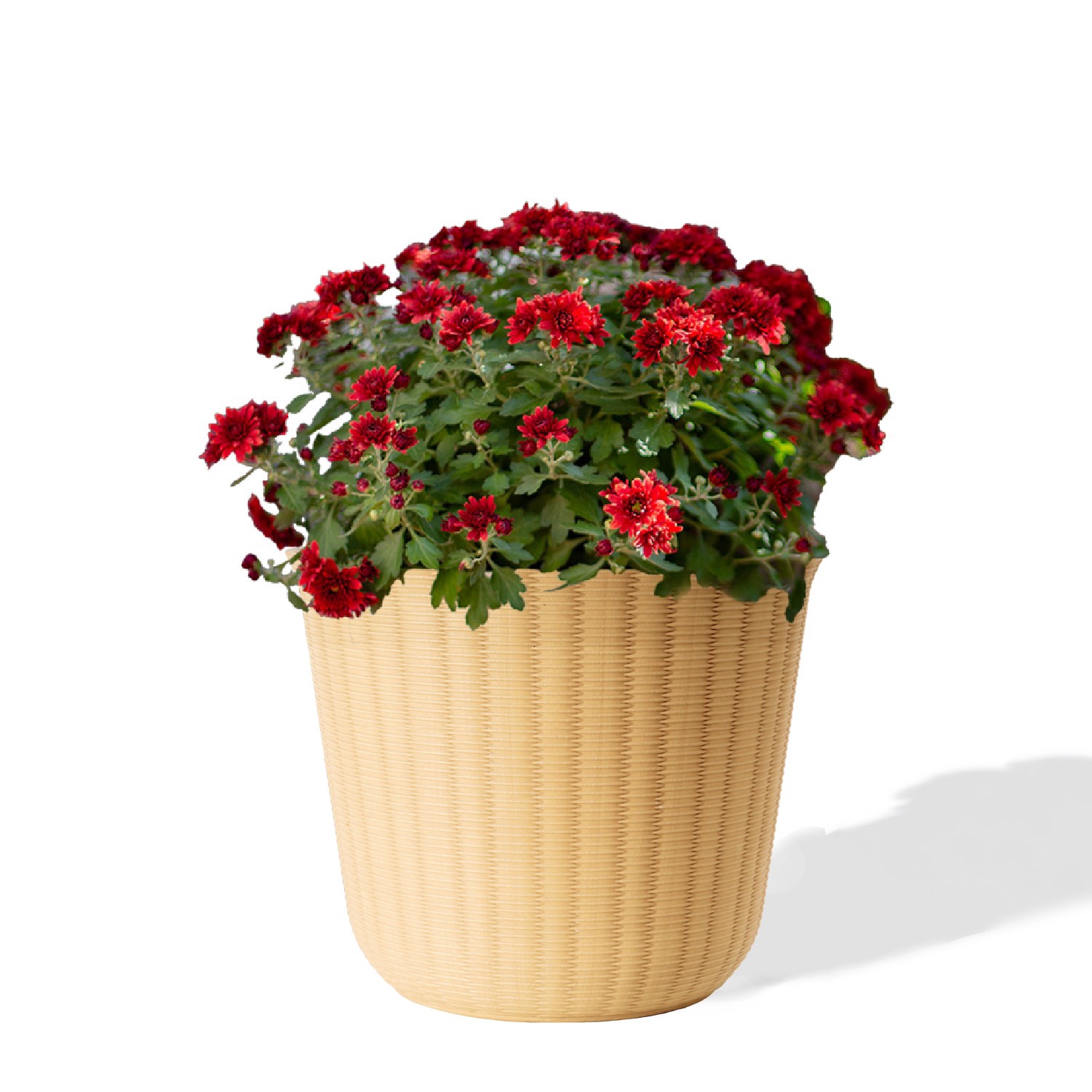slide 2 of 6, Style Selections Round 9.0-in W x 9.0-in L Yellow Recycled plastic Indoor/Outdoor Planter, 1 ct