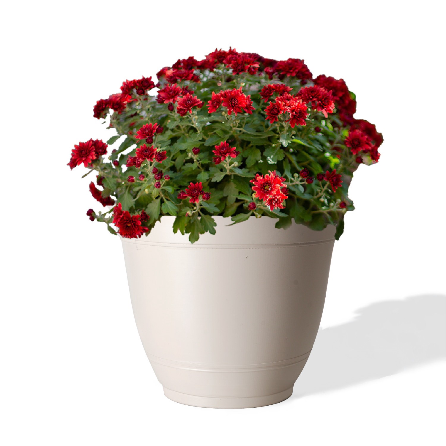 slide 2 of 6, Style Selections Round 7.72-in W x 7.72-in L Off-white Recycled plastic Indoor/Outdoor Planter, 1 ct