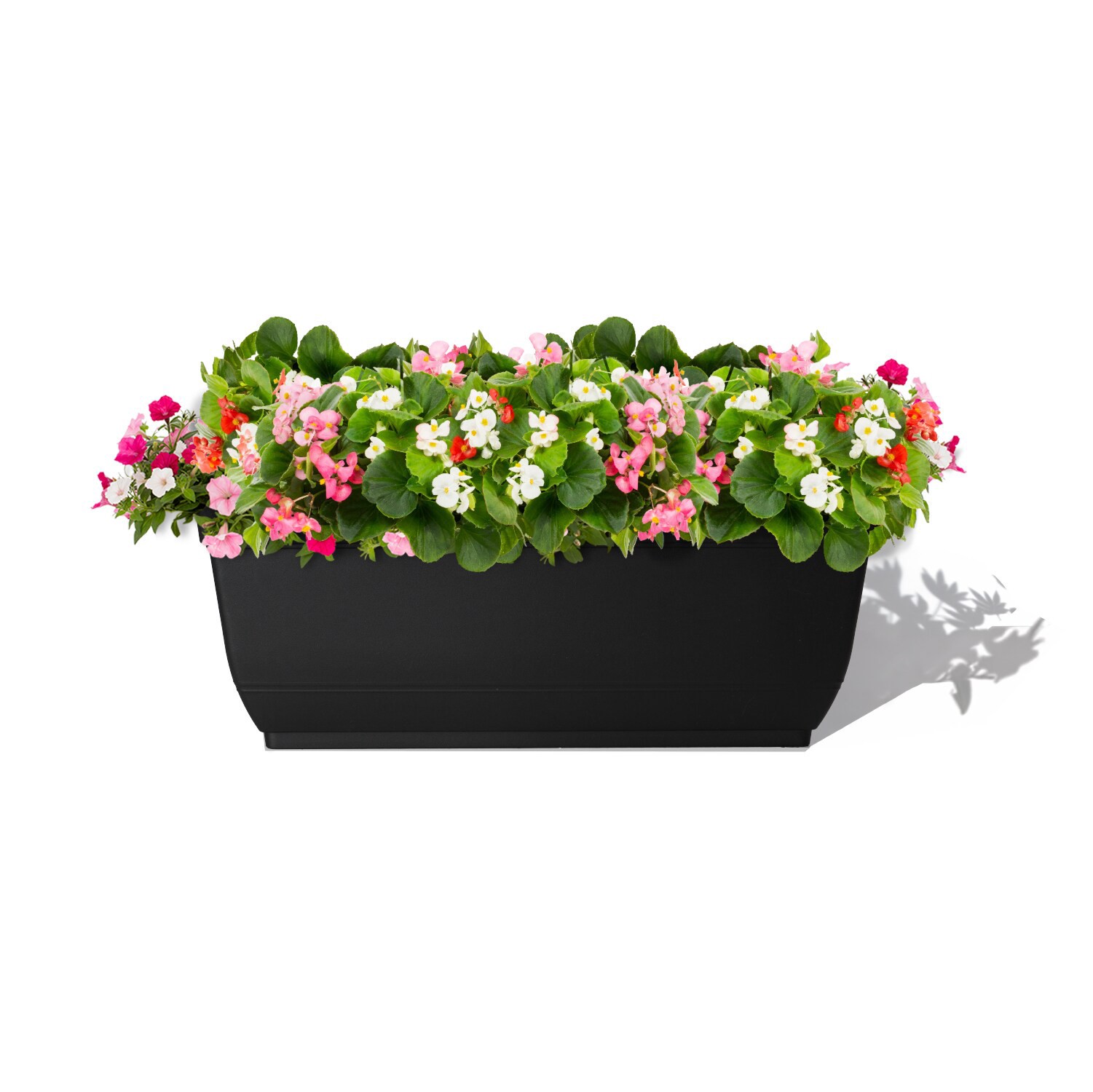 slide 2 of 6, Style Selections Rectangle 23.78-in W Black Recycled plastic Indoor/Outdoor Window box, 1 ct