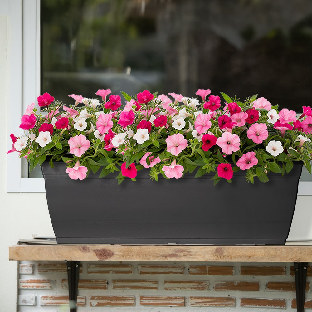 slide 4 of 6, Style Selections Rectangle 23.78-in W Black Recycled plastic Indoor/Outdoor Window box, 1 ct