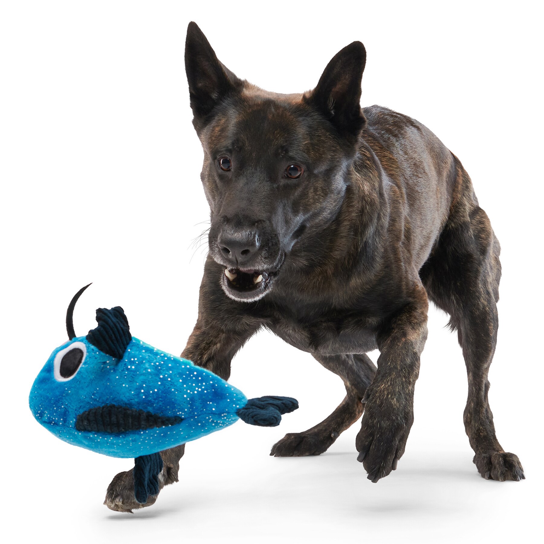 slide 2 of 5, BARK Best of Bark Plush Plush Dog Toy, 1 ct