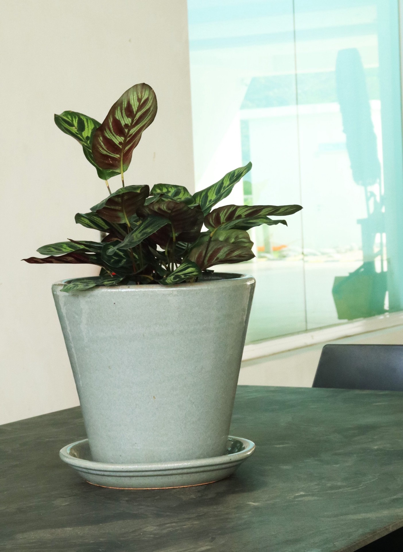 slide 2 of 4, allen + roth Round 7.6-in W x 7.6-in L Gray Glazed ceramic Indoor/Outdoor Planter, 1 ct
