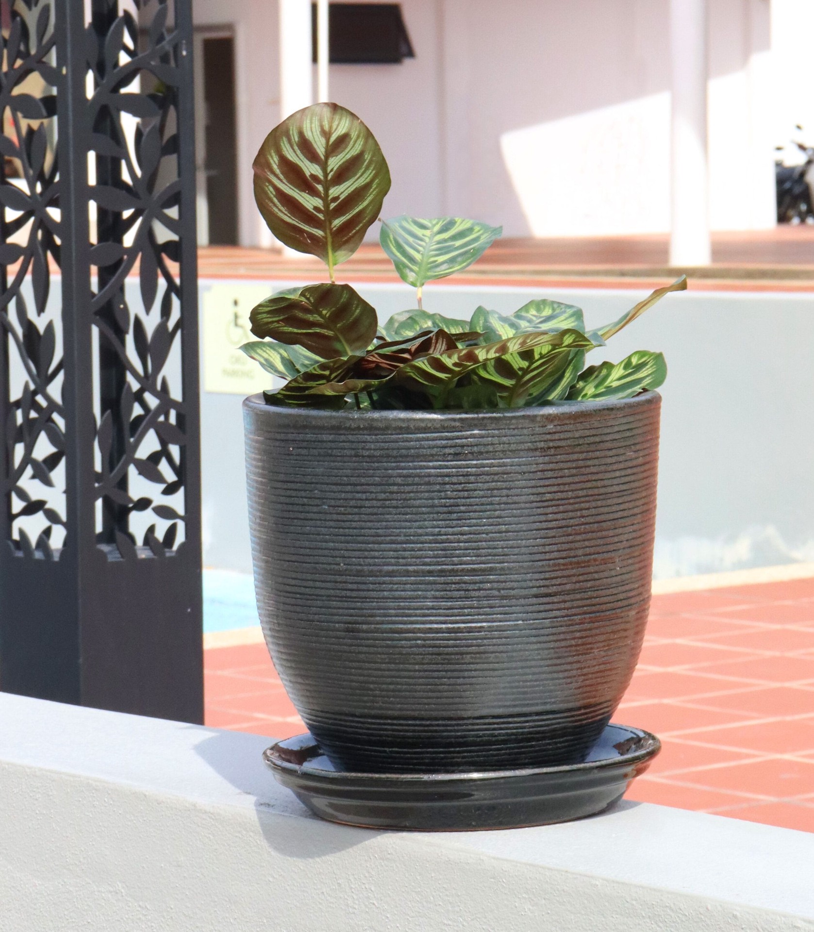 slide 4 of 5, allen + roth Round 9.0-in W x 9.0-in L Black Glazed ceramic Indoor/Outdoor Planter, 1 ct