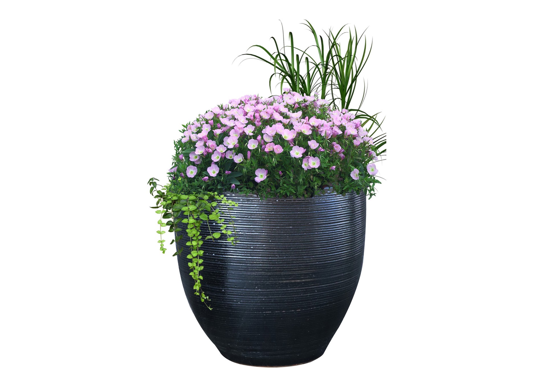 slide 3 of 5, allen + roth Round 7.5-in W x 7.5-in L Black Glazed ceramic Indoor/Outdoor Planter, 1 ct