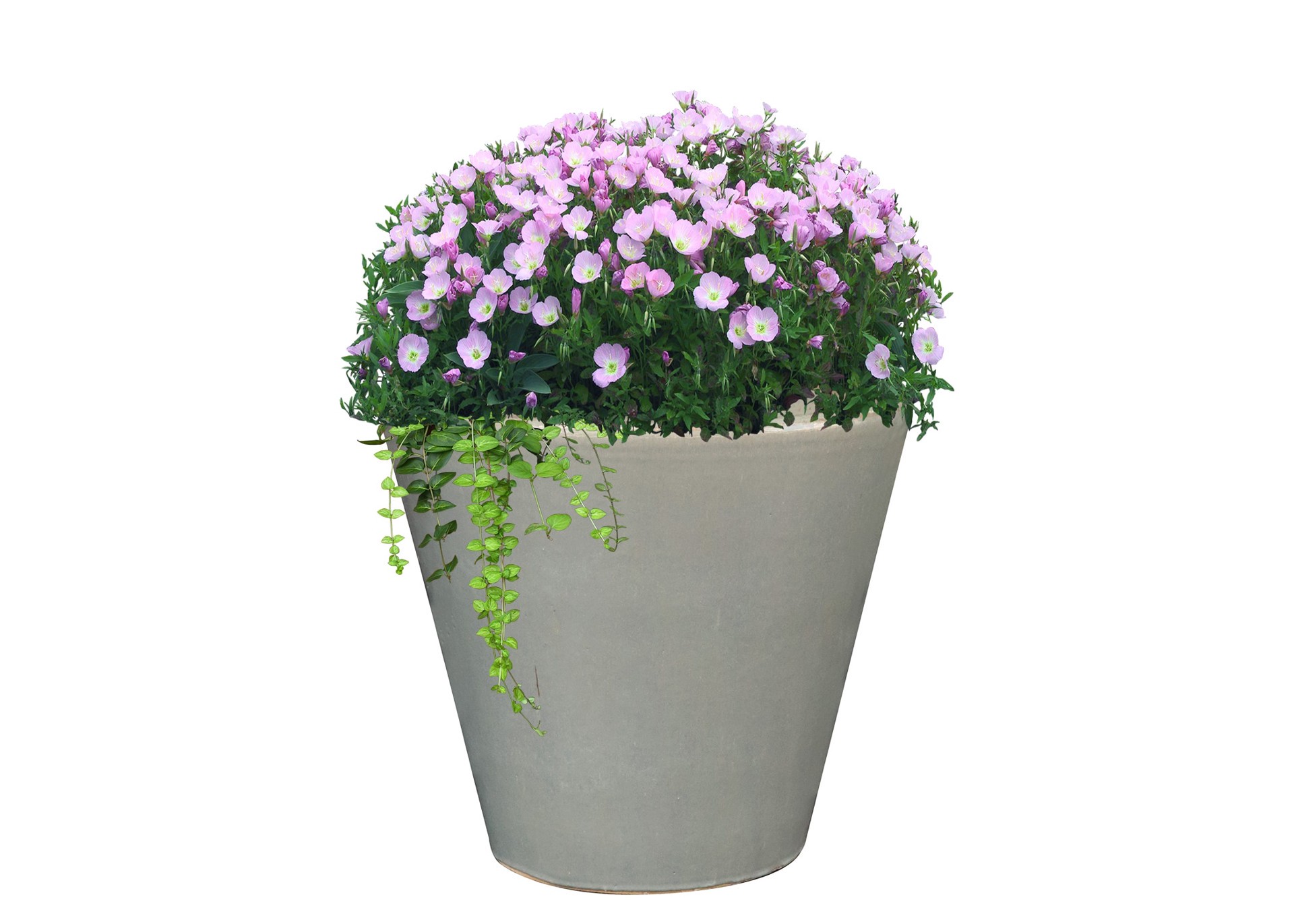 slide 3 of 4, allen + roth Round 11.8-in W x 11.8-in L Gray Glazed ceramic Indoor/Outdoor Planter, 1 ct