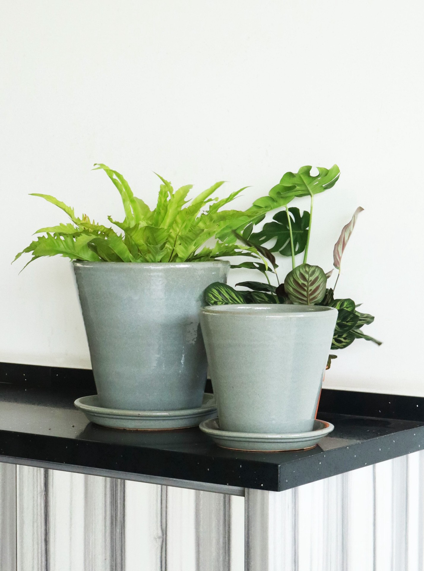 slide 4 of 4, allen + roth 8.85-in Amazing Grey Glazed ceramic Plant Saucer, 1 ct